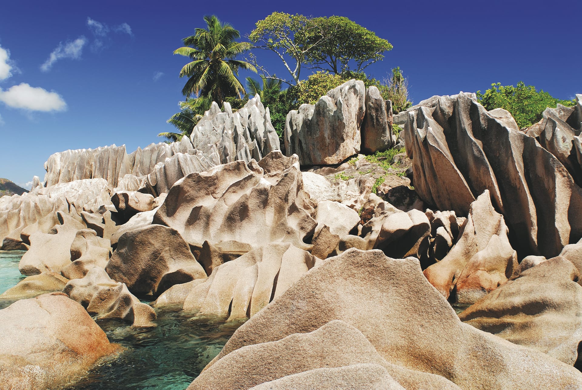 85935-IOZ_SEY_20180804_OL_1_18