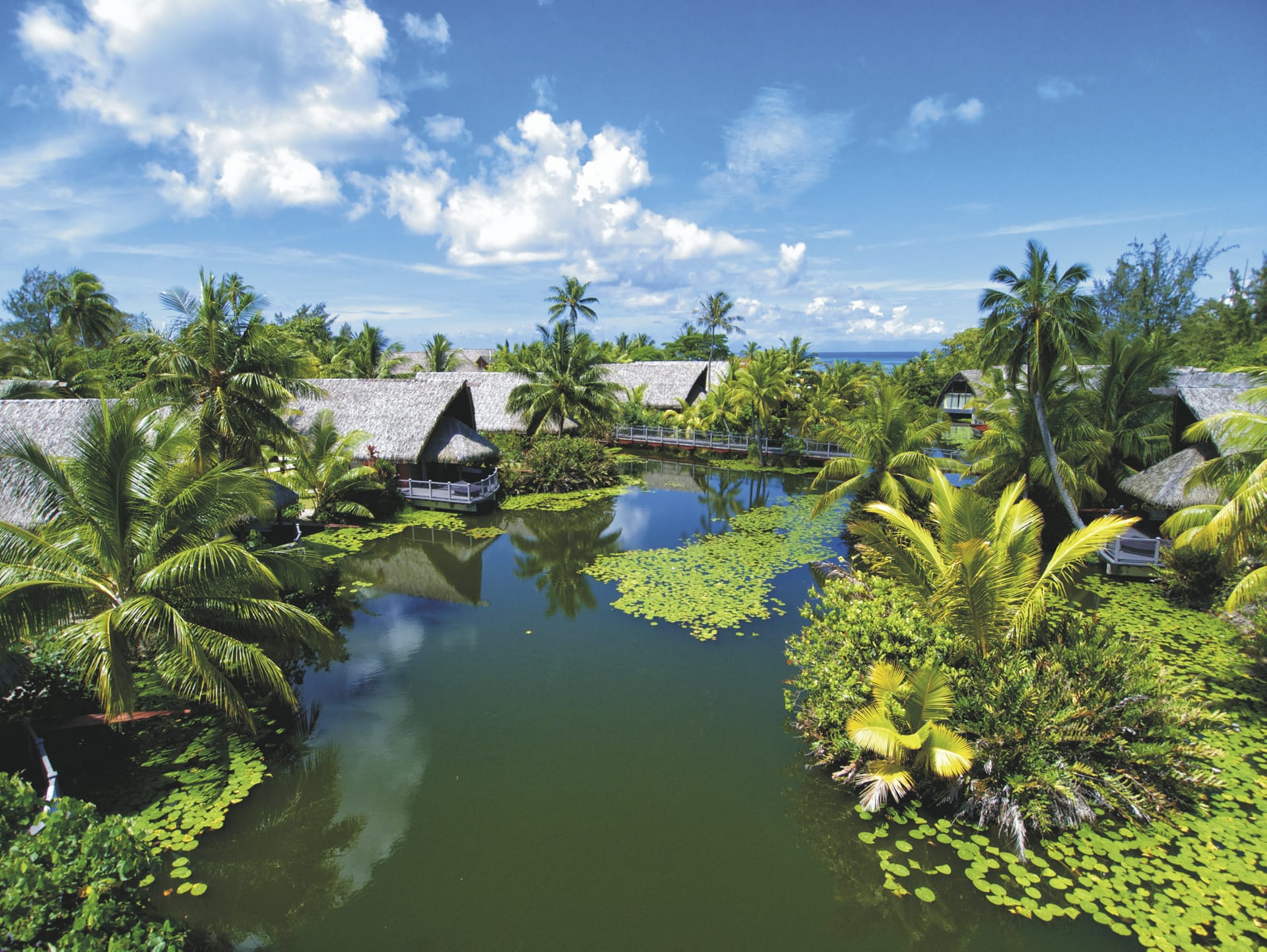 86607-SPC_PPT_20180813-IW_10