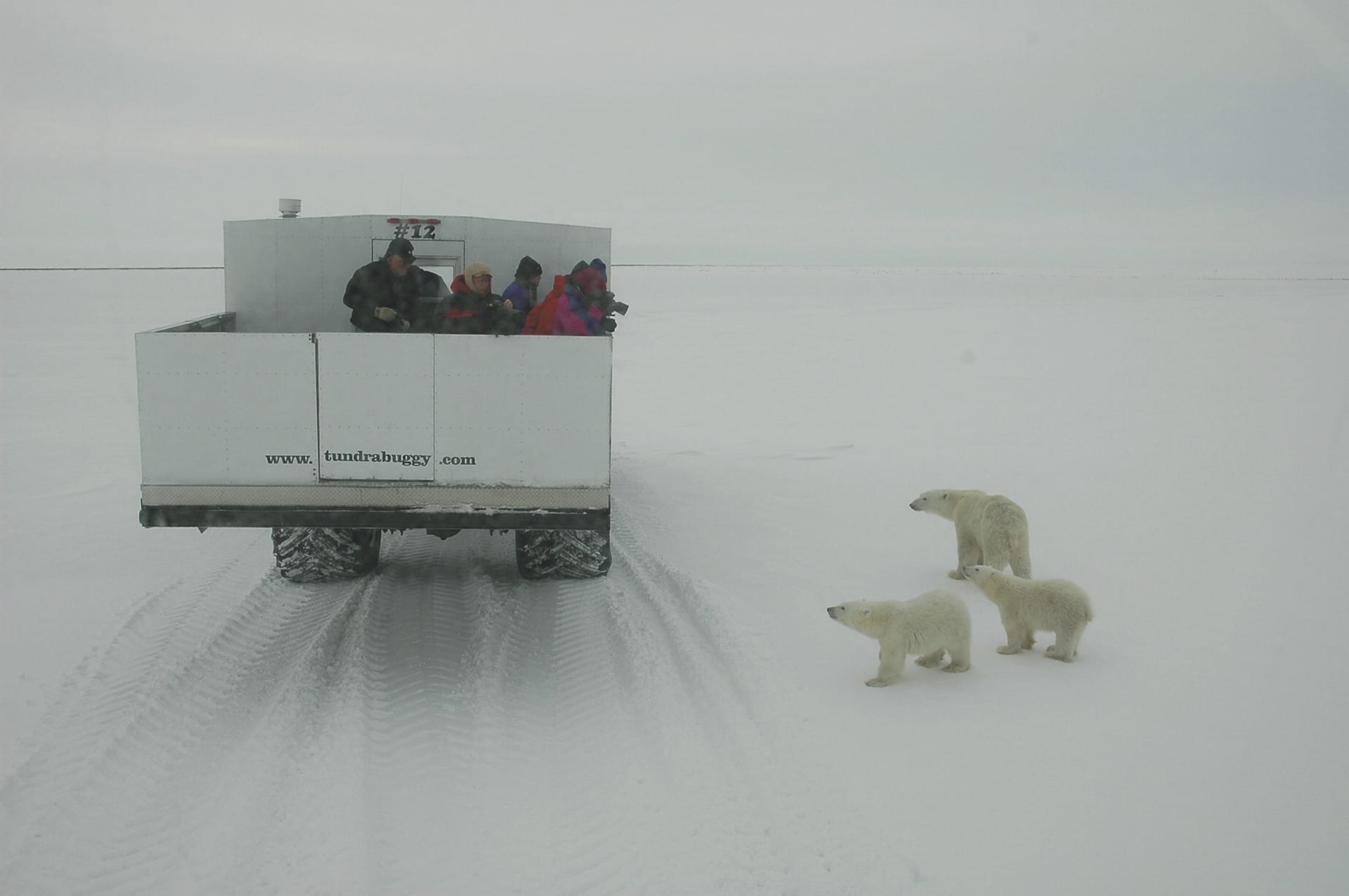 86773-KAN_MB_20180814_4