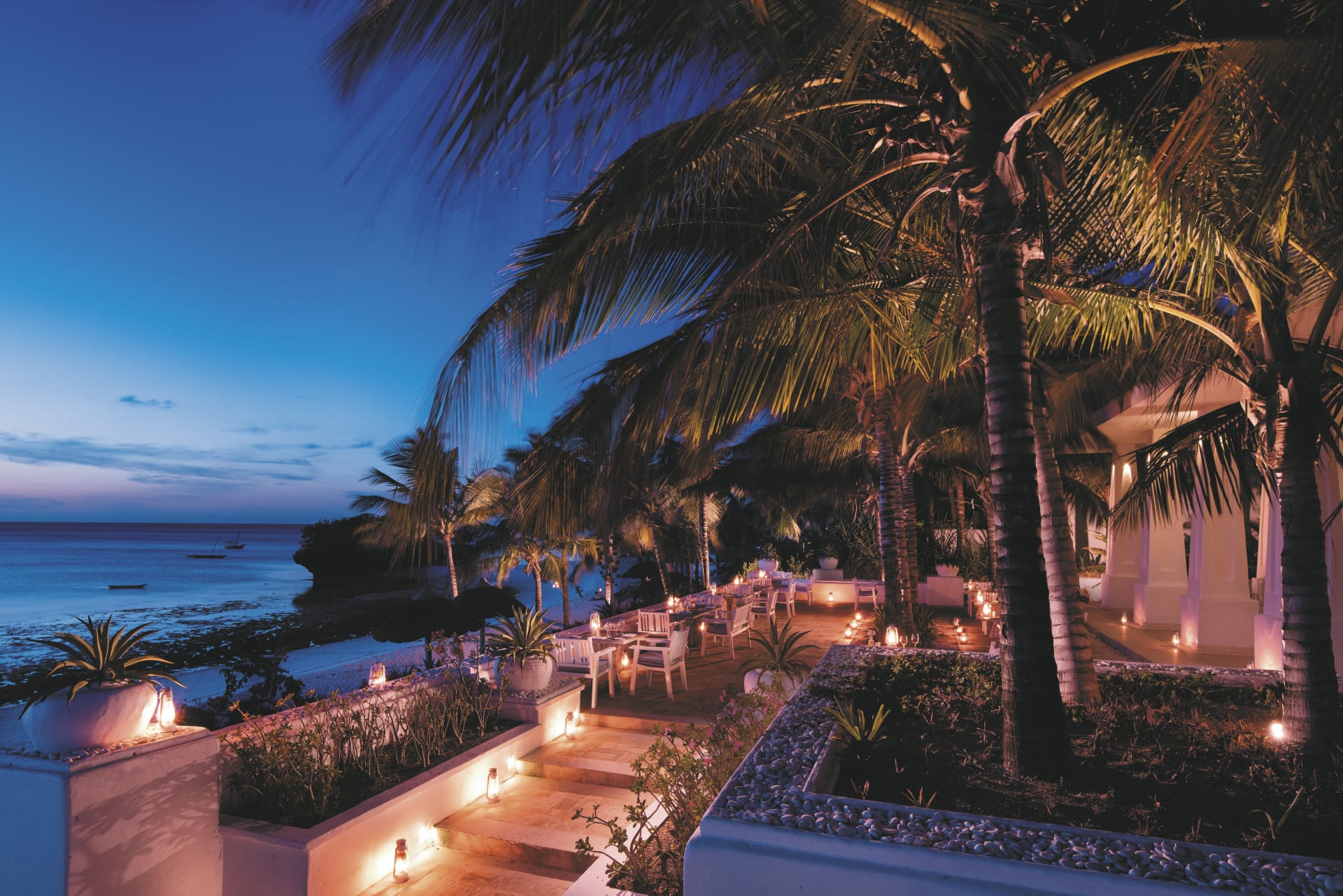 87363-TAZ_20180828_YF_1