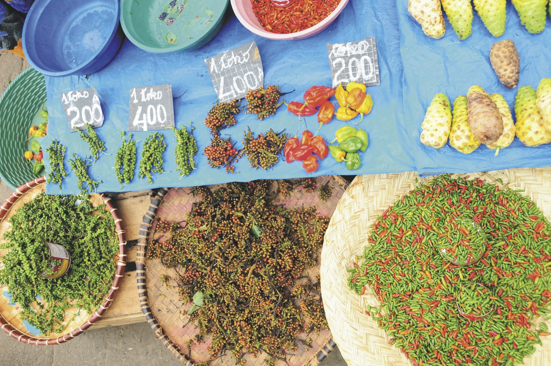 88177-IOZ_MAD_20180921_IVB