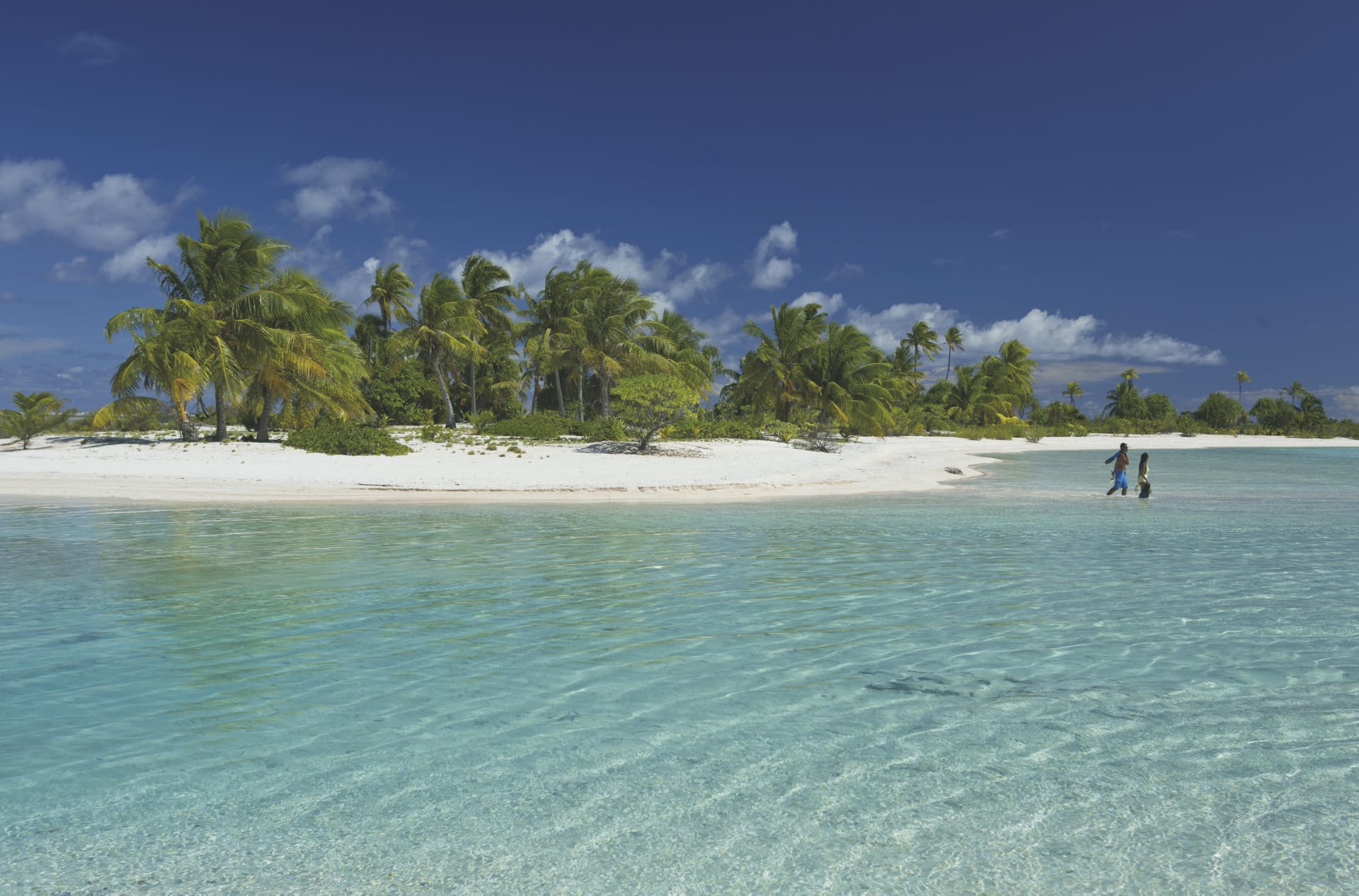 88312-SPC_PPT_20180923_IW