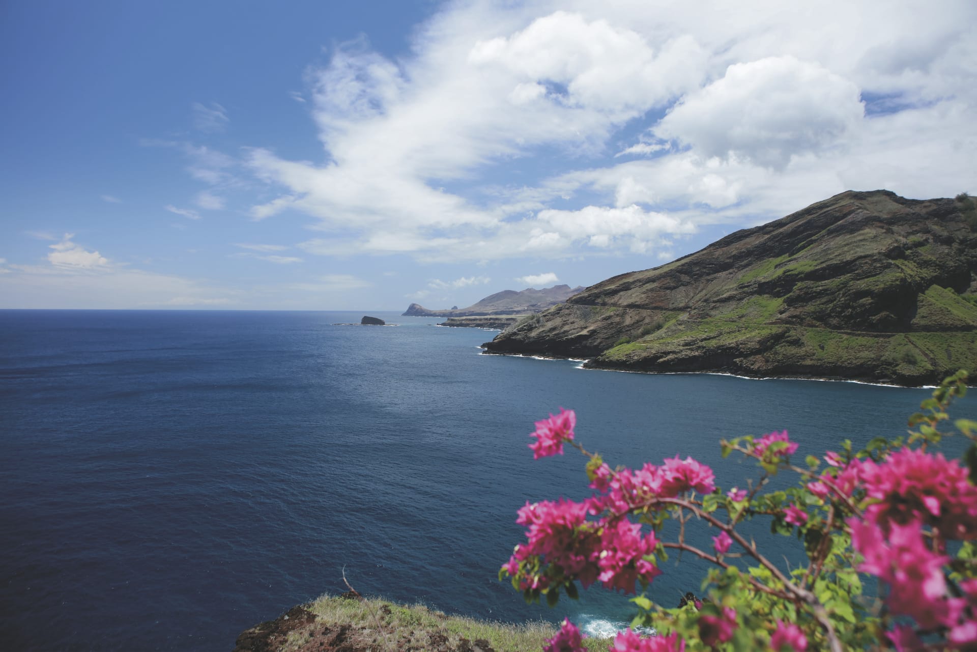 88323-SPC_PPT_20180923_IW_19