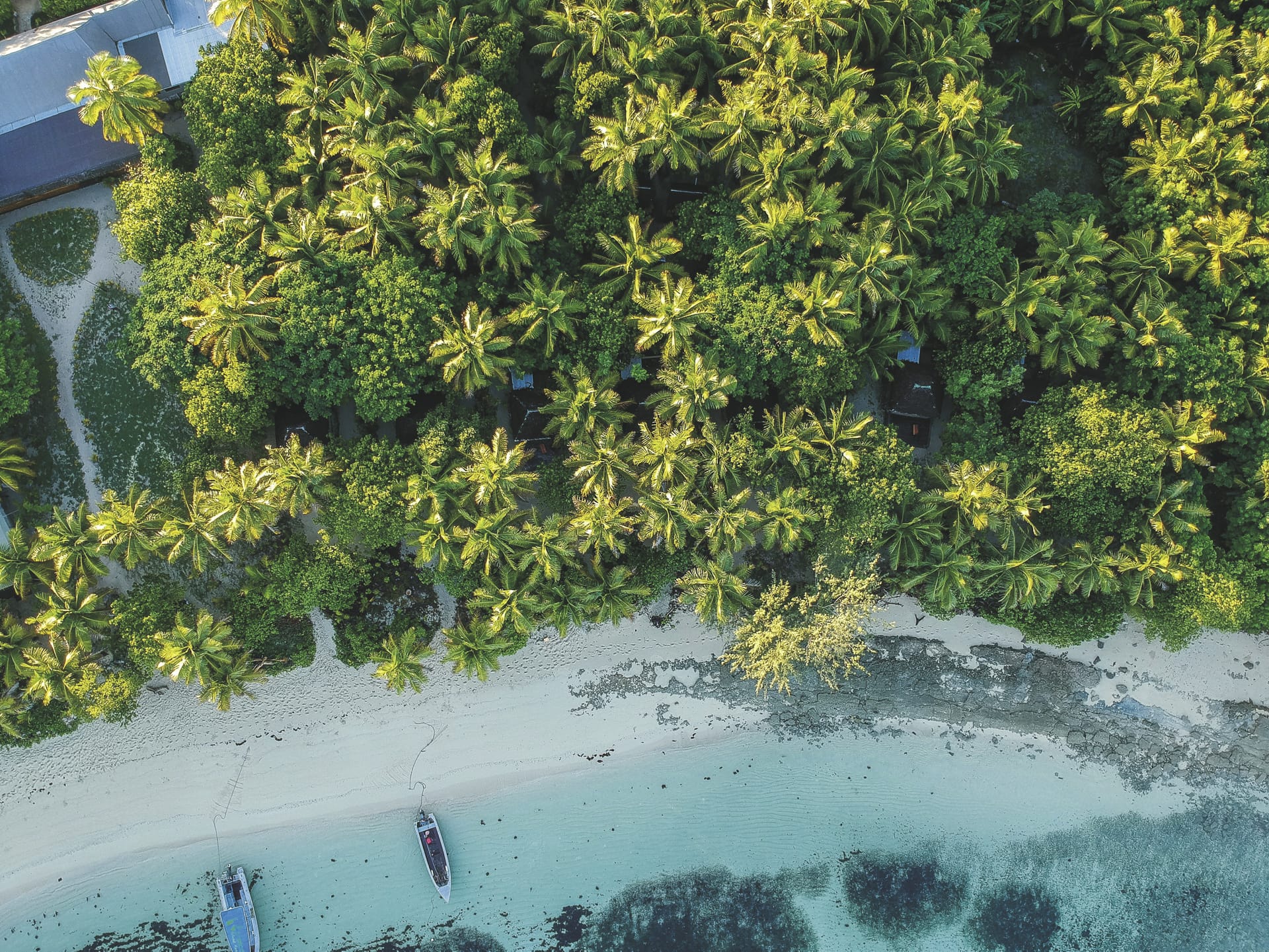 88507-SPC_NAN_20180926_MR_3_8