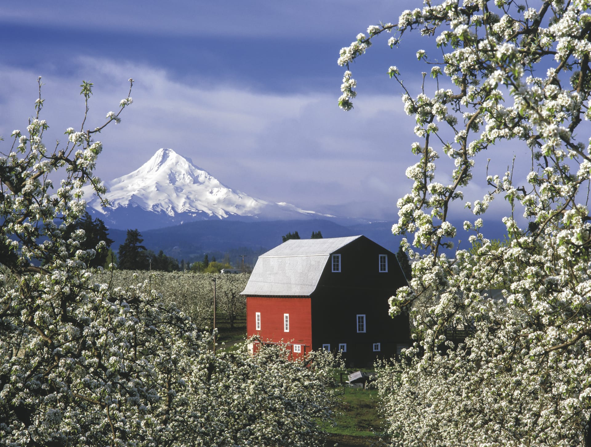 88915-USA_OR_20181004_JB_1