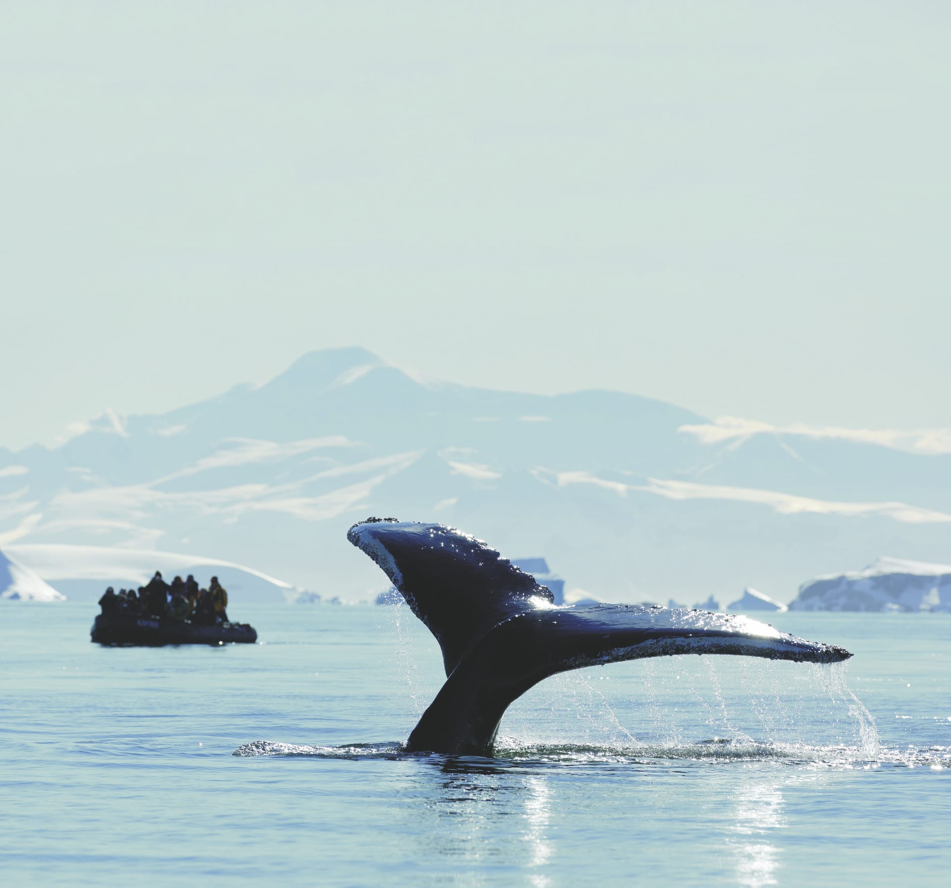 89550-SAM_ANT_20181020_MB_7