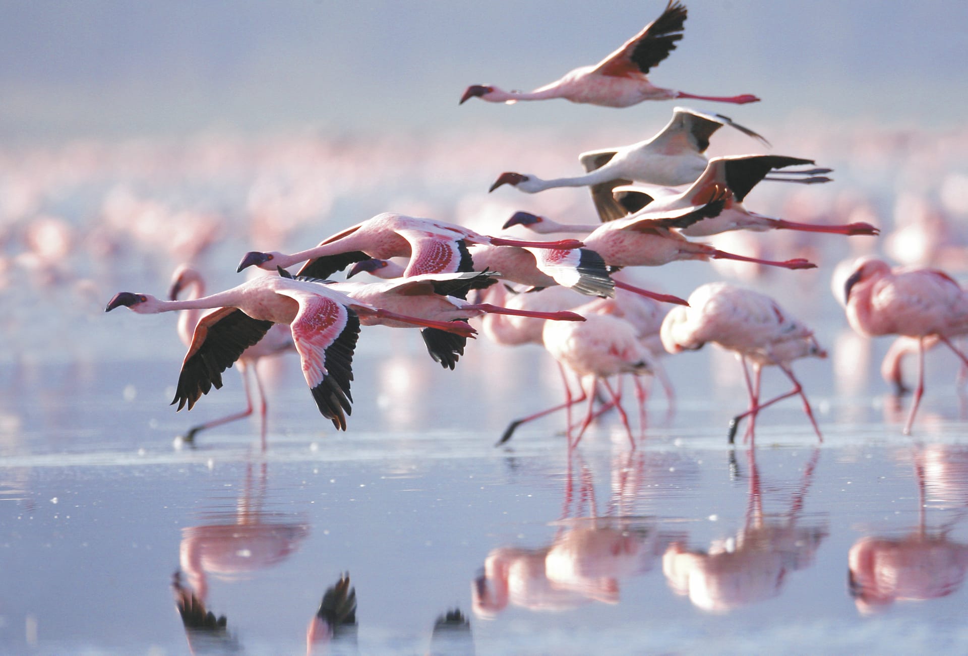 91306-KEN_20190322_SF_5