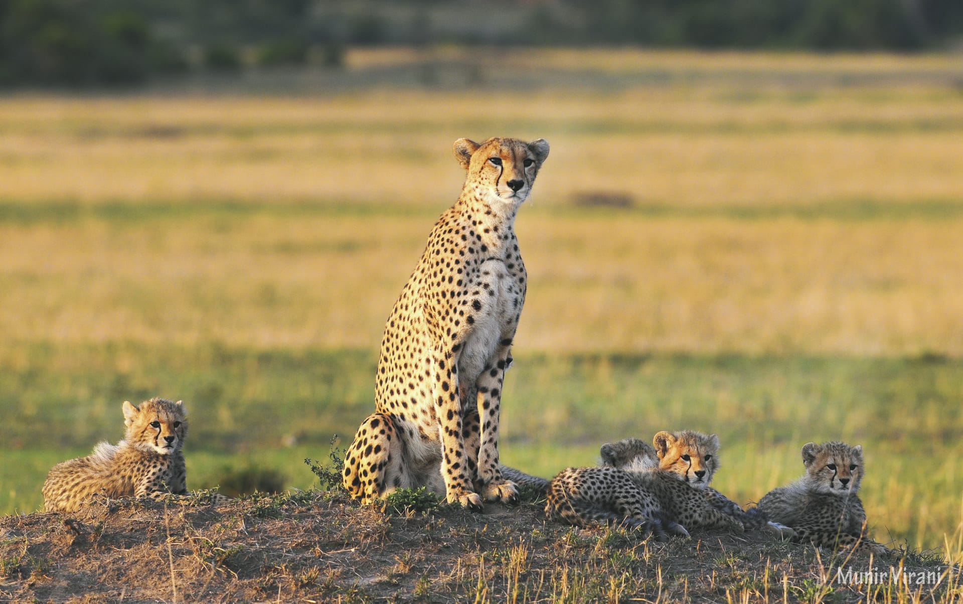 93153-KEN_20190625_YF_5