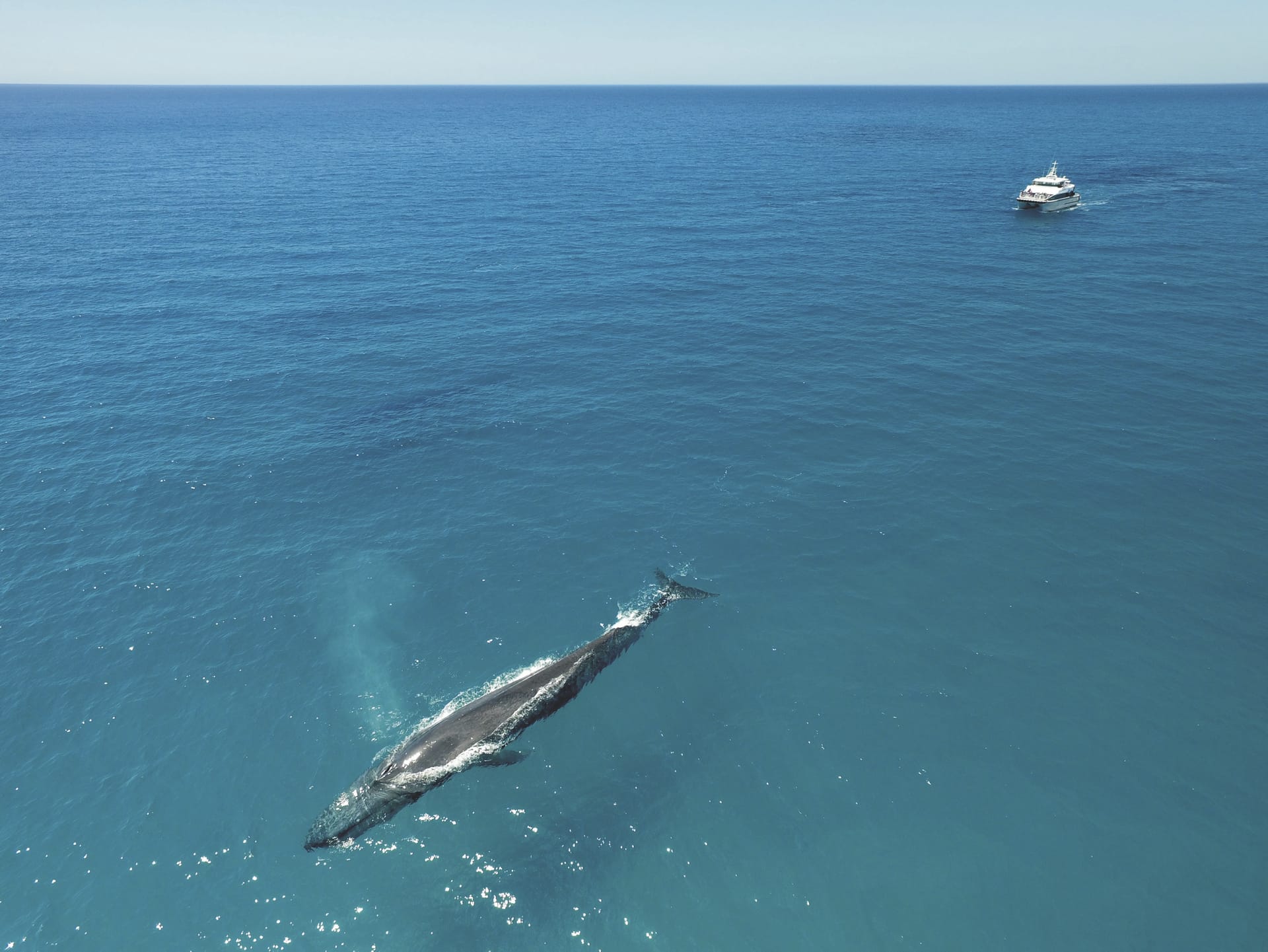 97156-AUS_WA_20190922_IVB_11