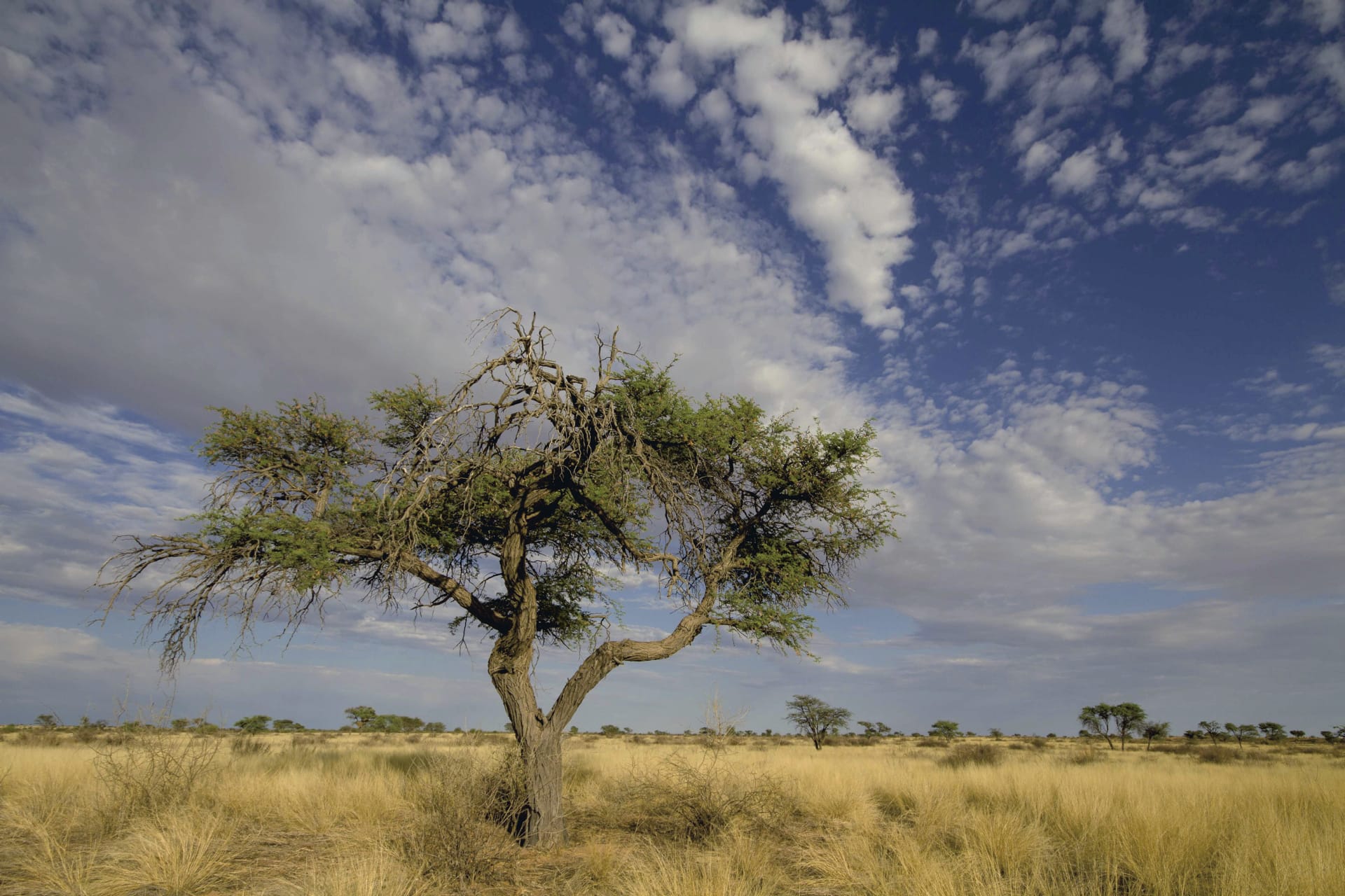 AFR_NA_001_20140904_KA