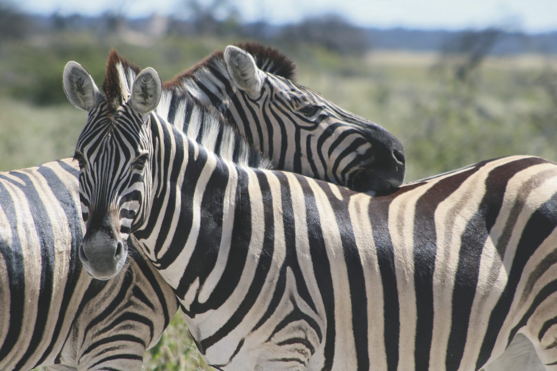 AFR_NA_013_20170803_KA