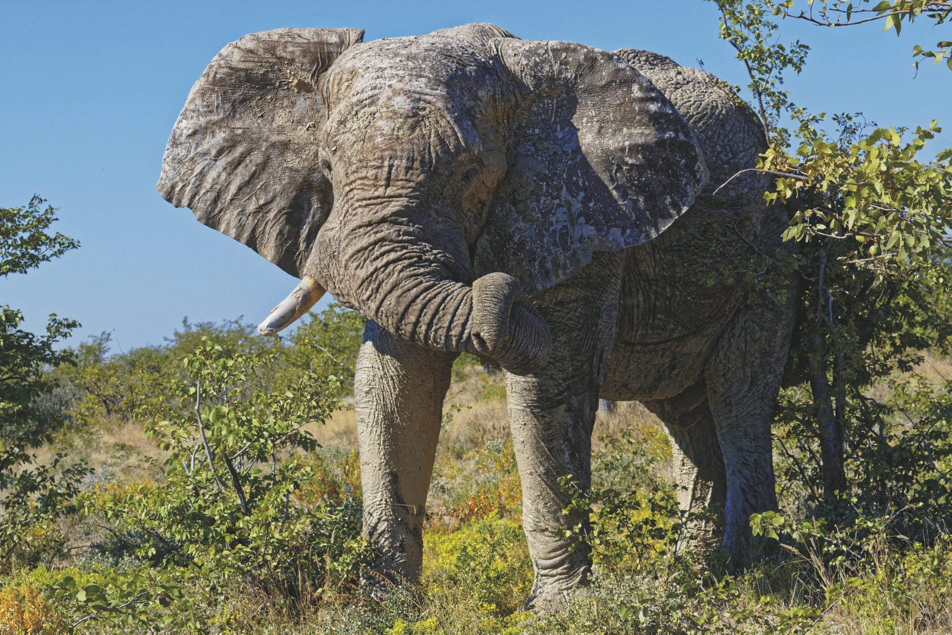 AFR_NA_020_20180925_KA