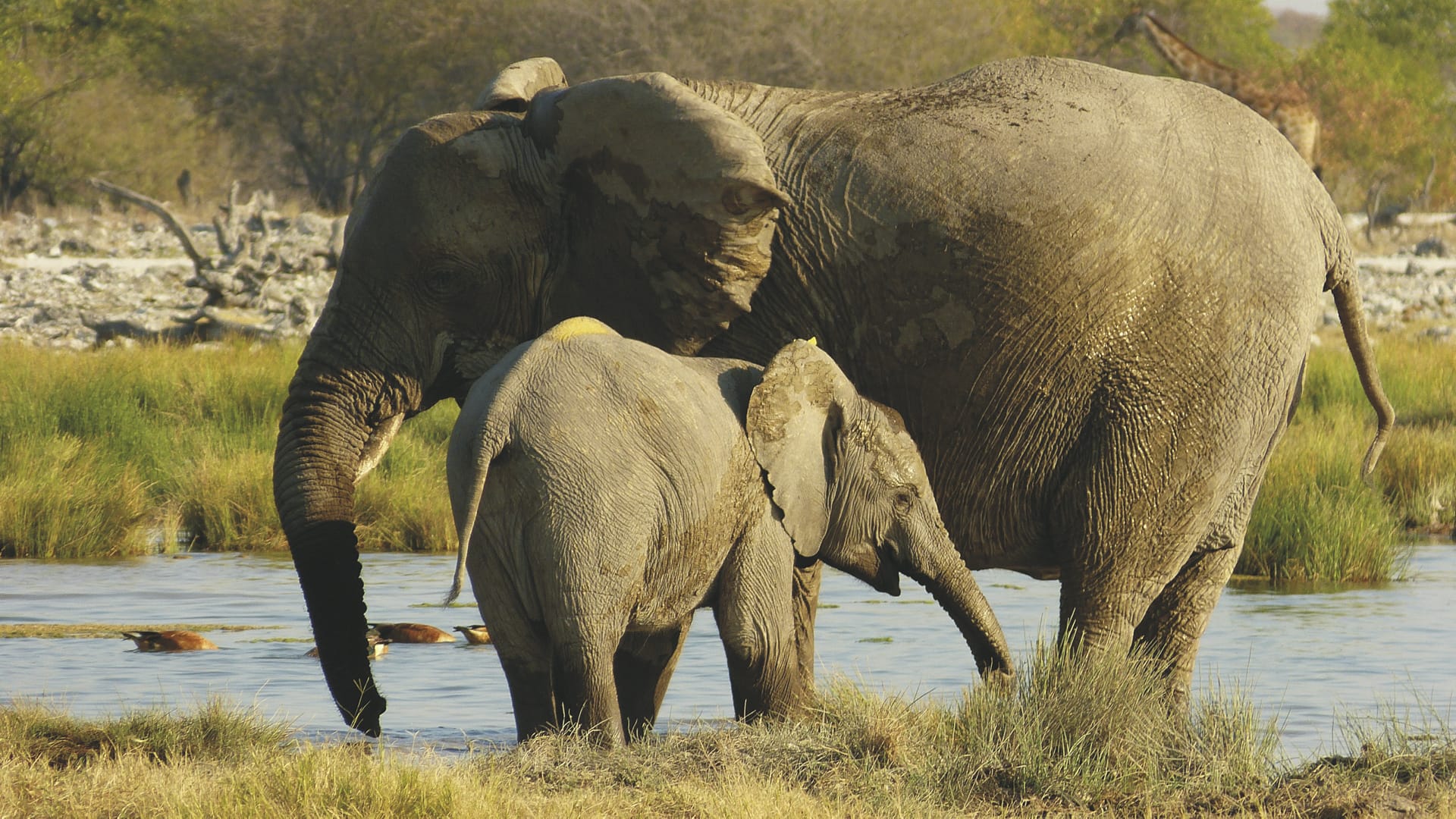 AFR_NA_170_20151028_KA