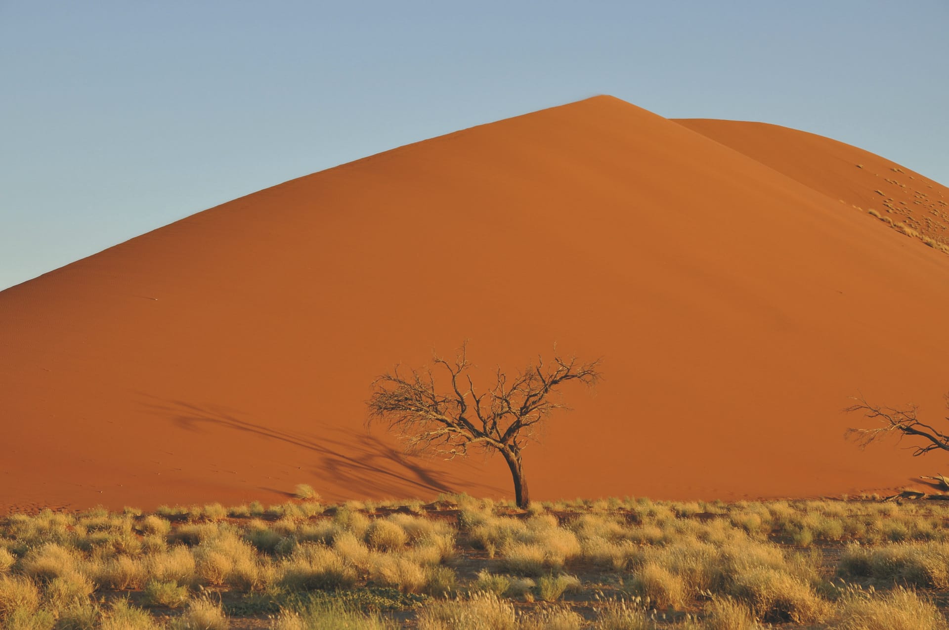 AFR_NA_20240724_KR_5