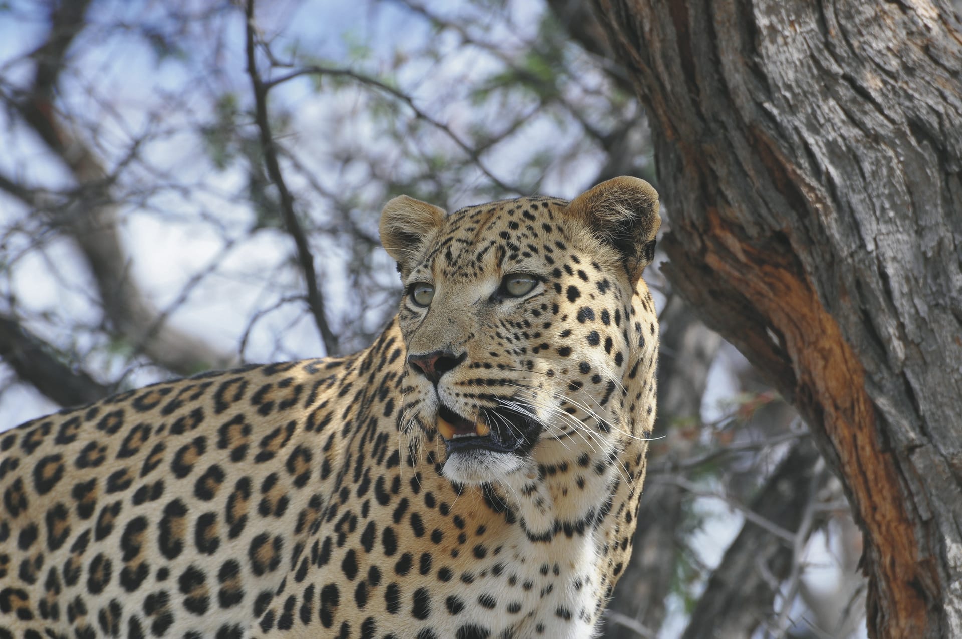 AFR_NA_20240724_KR_6