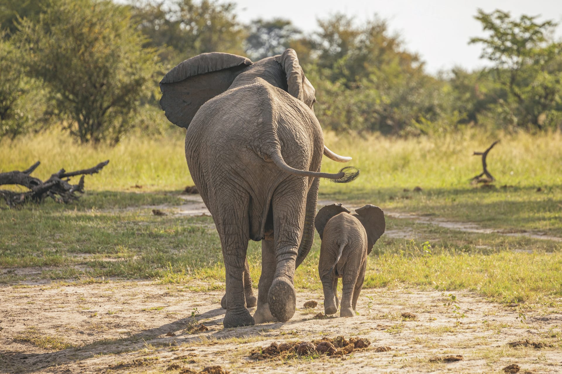 AFR_NA_20240909_HS_2