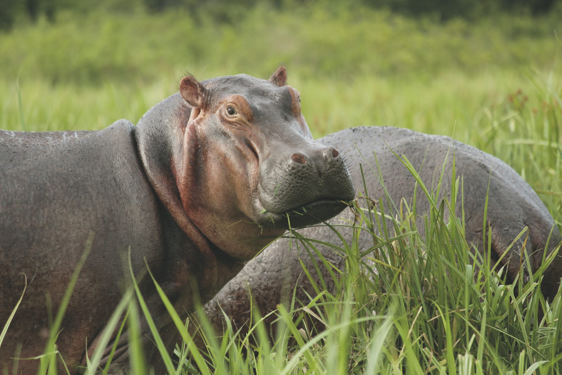 AFR_UG_20190903_CB_3