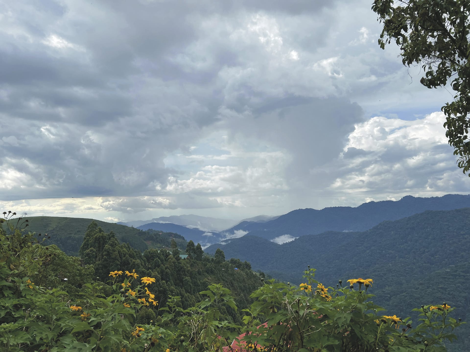 AFR_UG_20250630_JR_1