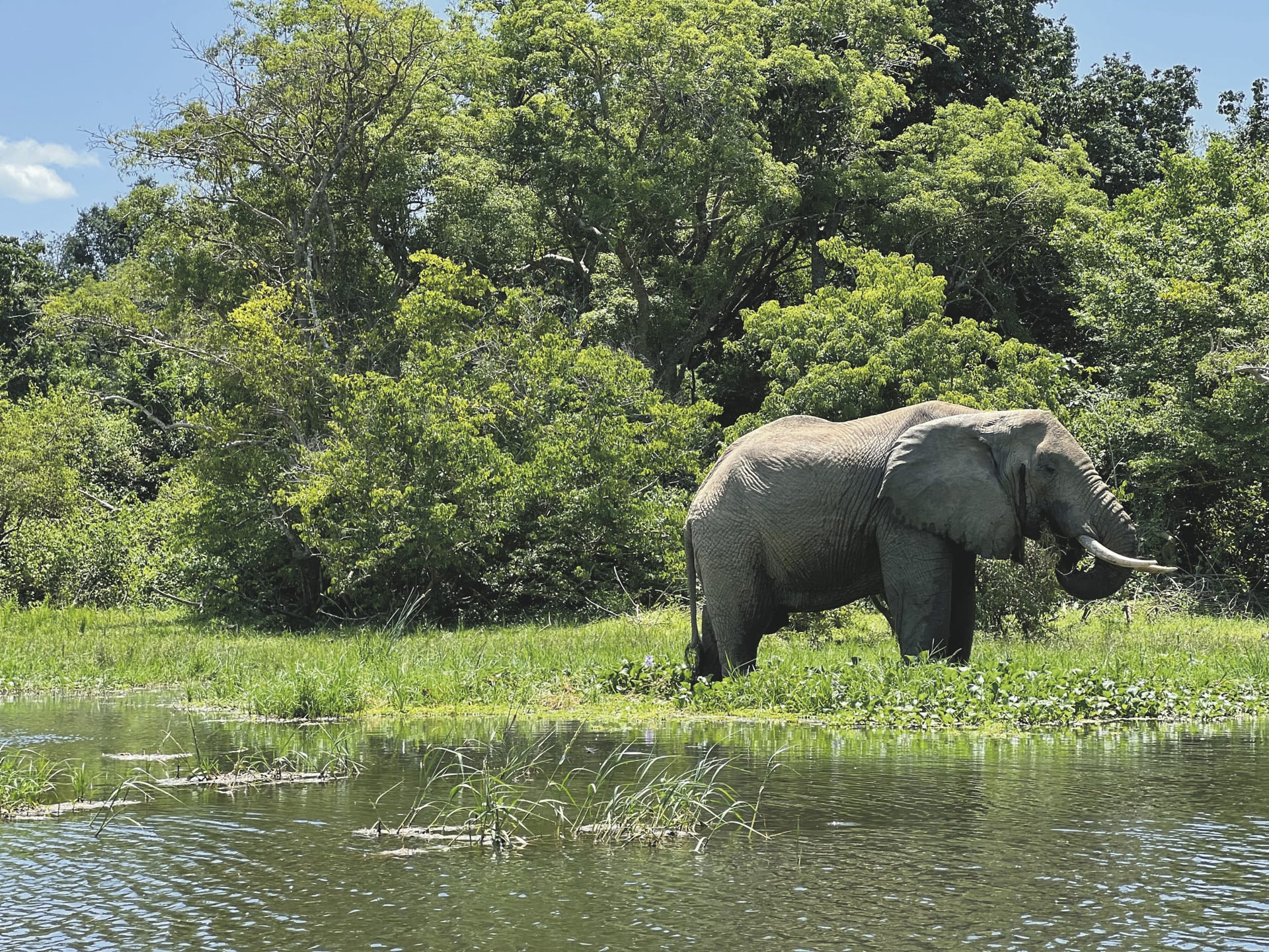 AFR_UG_20250630_JR_12