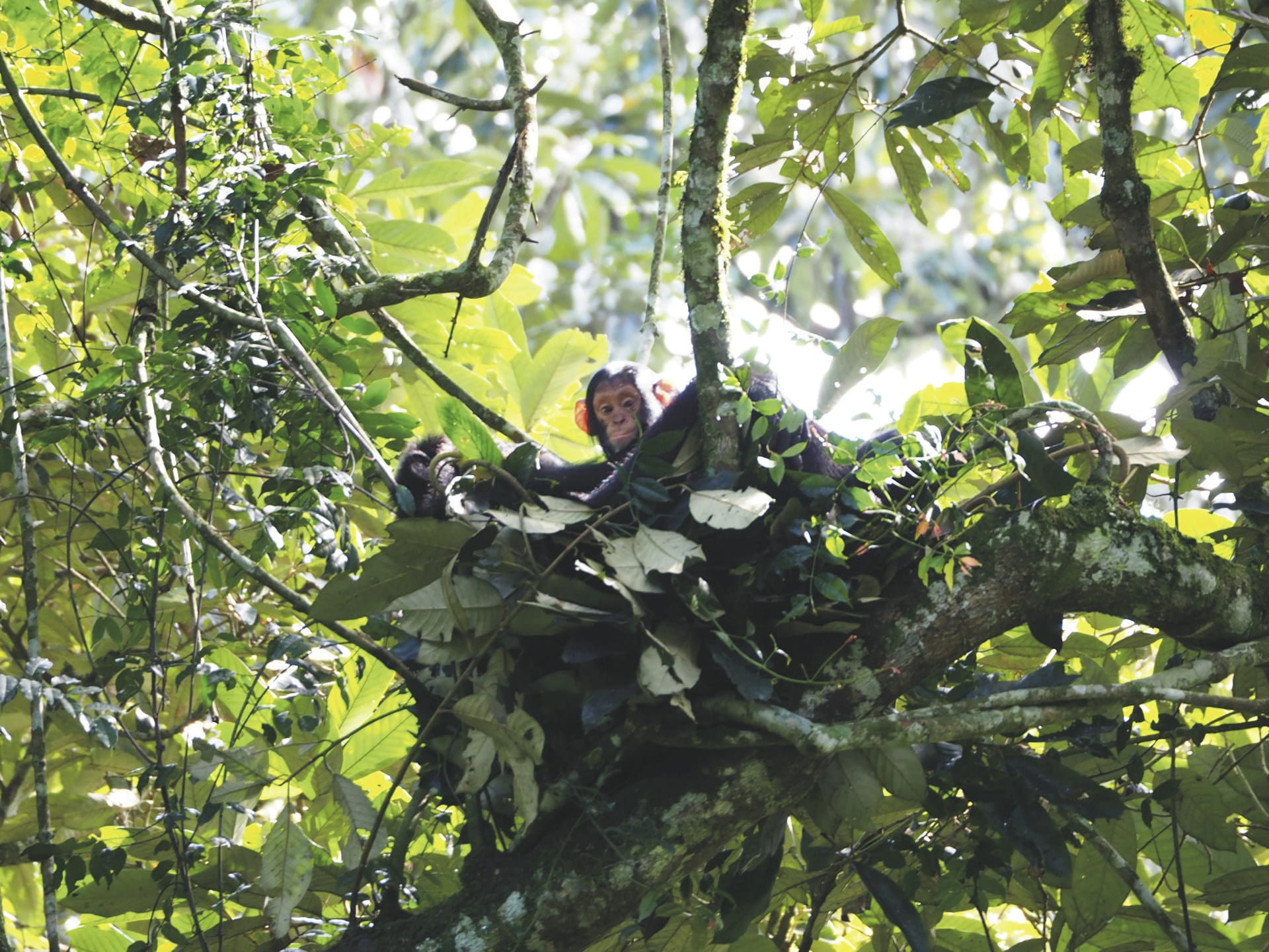 AFR_UG_20250630_JR_19