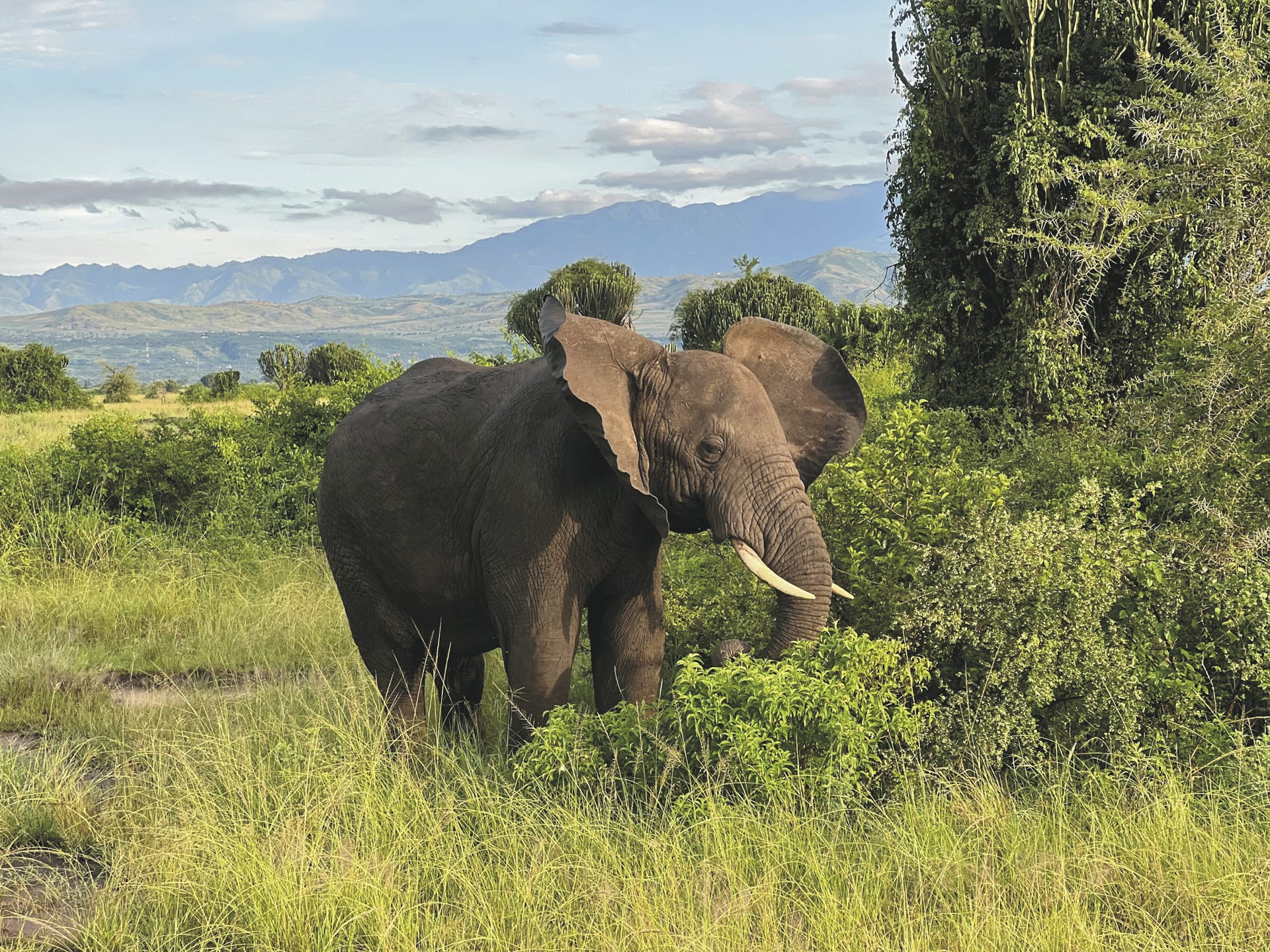 AFR_UG_20250630_JR_7