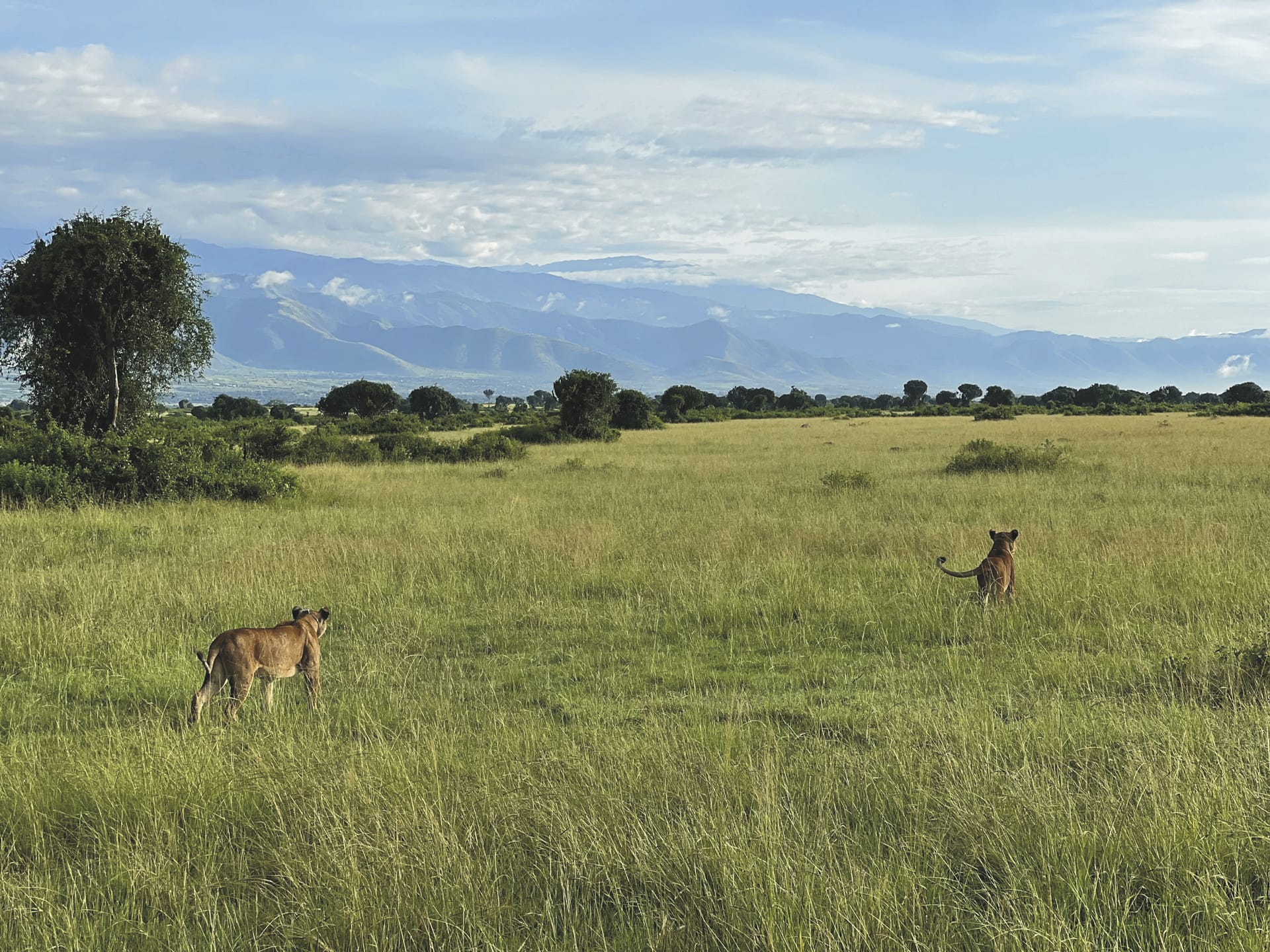 AFR_UG_20250630_JR_8