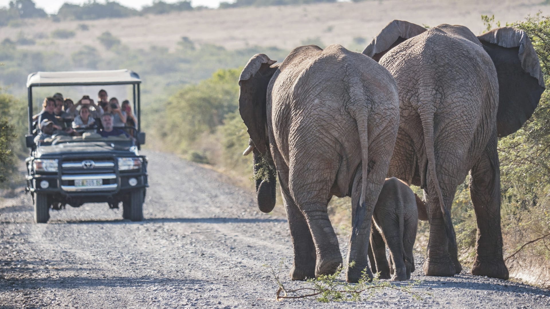 AFR_ZA_20250430_JR_14