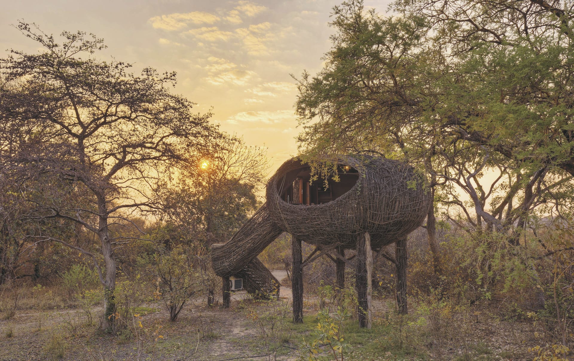 AFR_ZM_20250506_JR_31