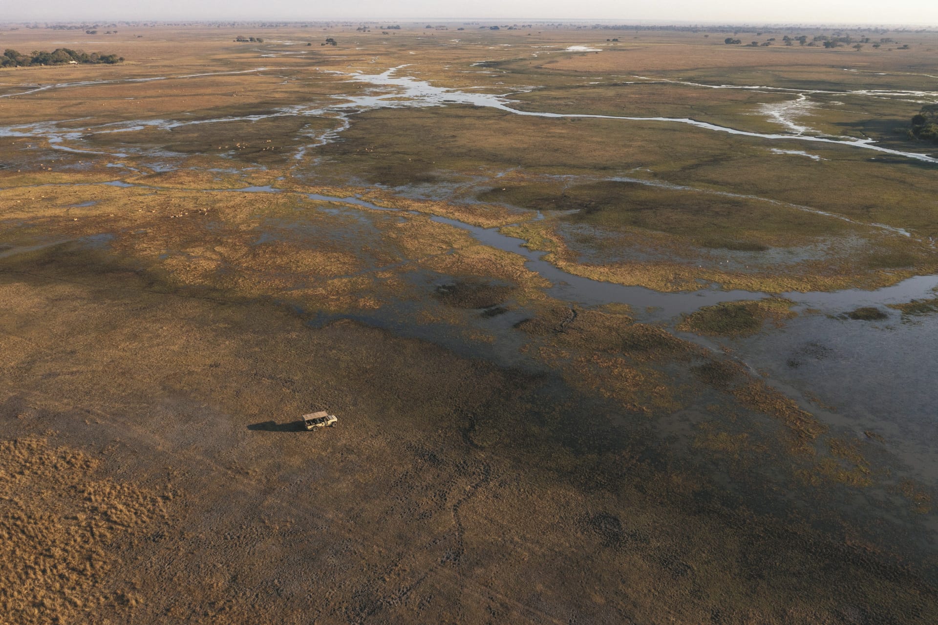 AFR_ZM_20250506_JR_35