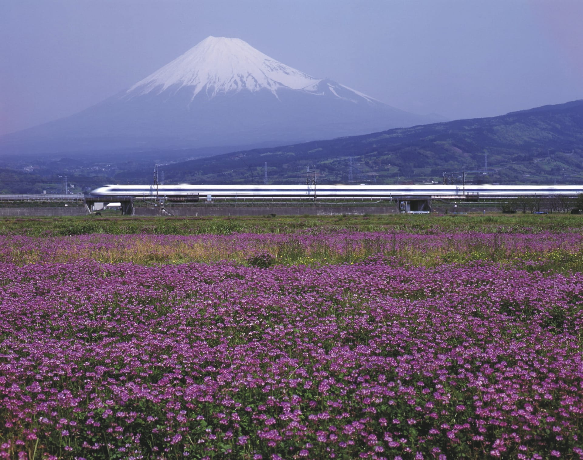 ASI_JAP_20230525_JL_11