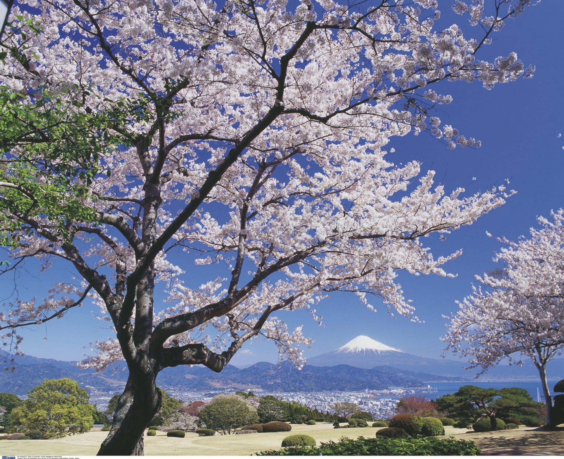 ASI_JAP_20230525_JL_12