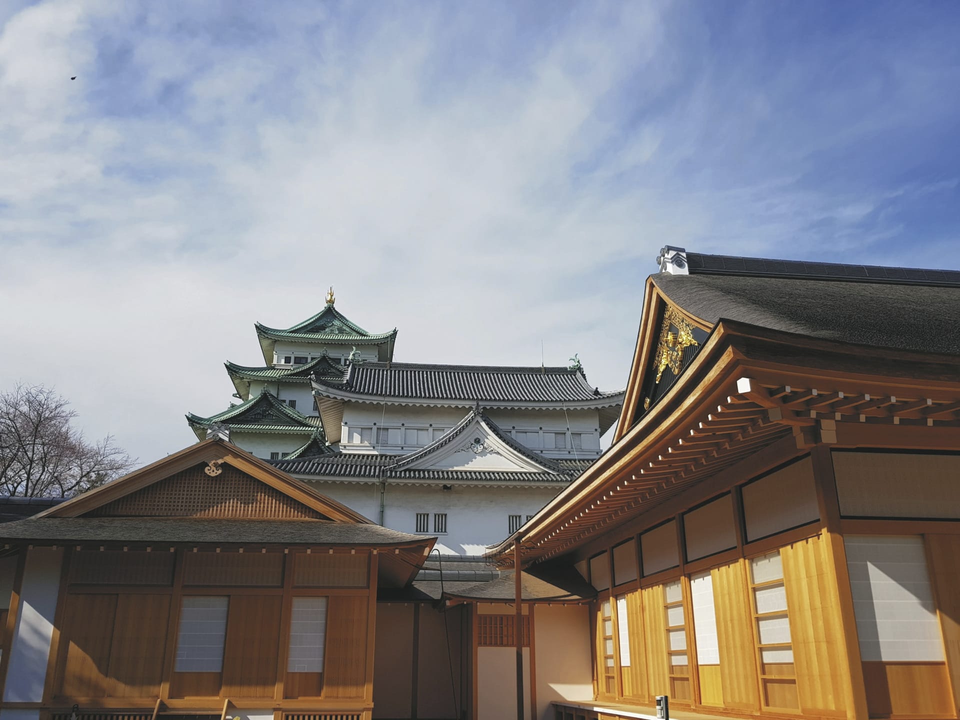 ASI_JAP_20250528_JR_6