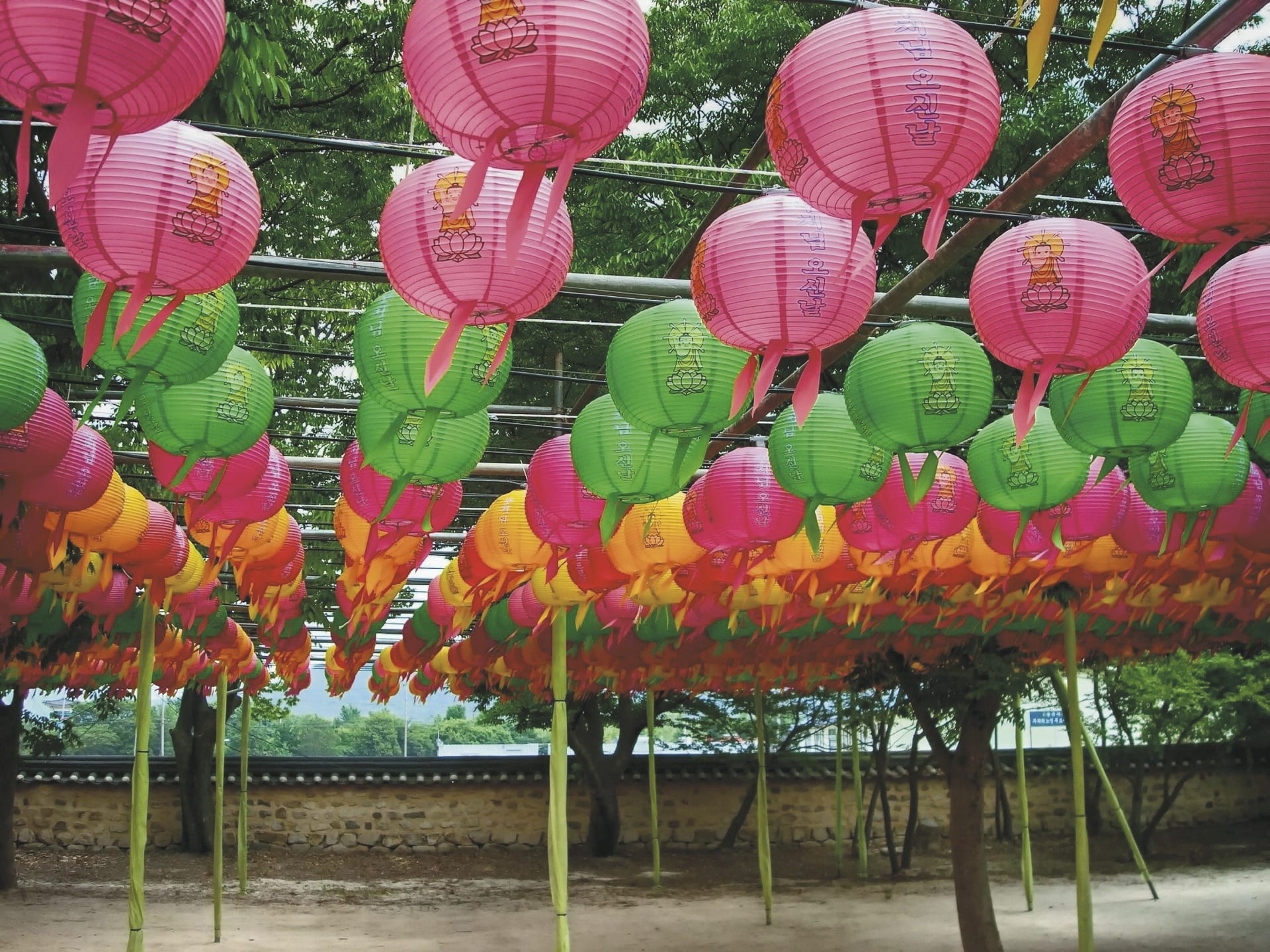 ASI_KOR_20230721_JL_11