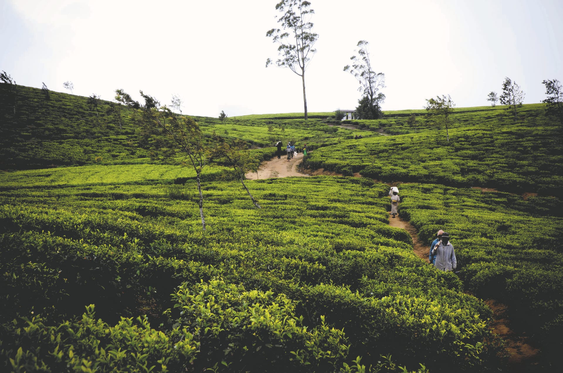 ASI_SRI_092_20160602_PP