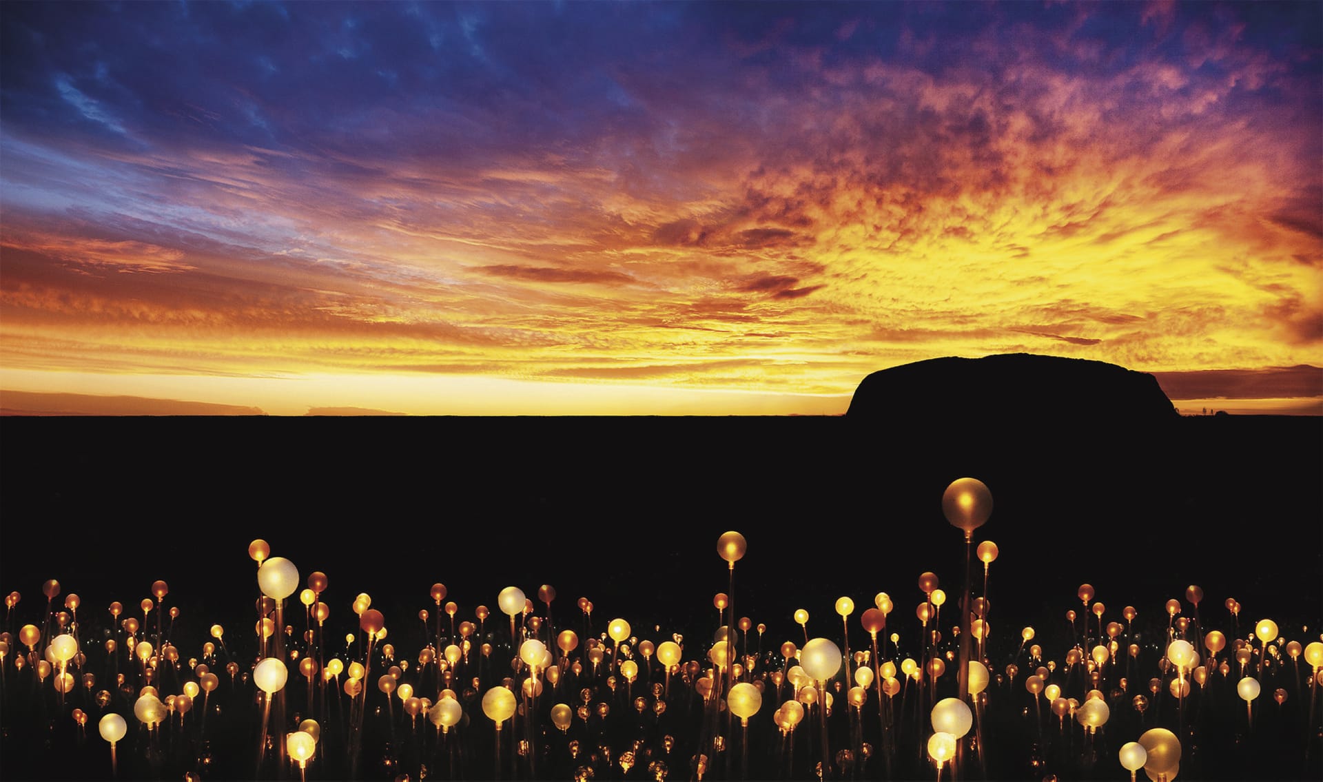 AUS_DIV_009_20180125_ss