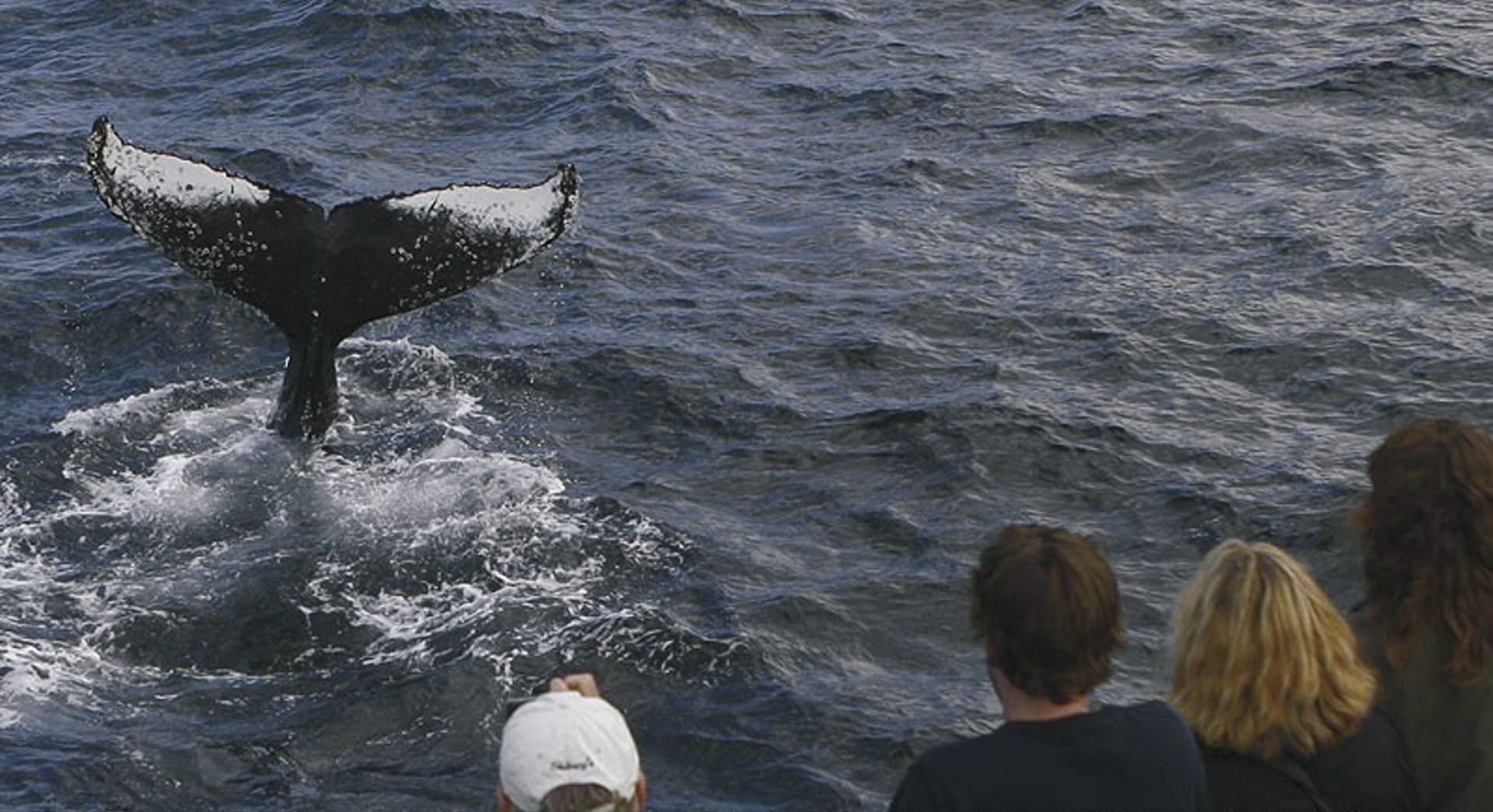 AUS_NSW_004_20090914_IVB