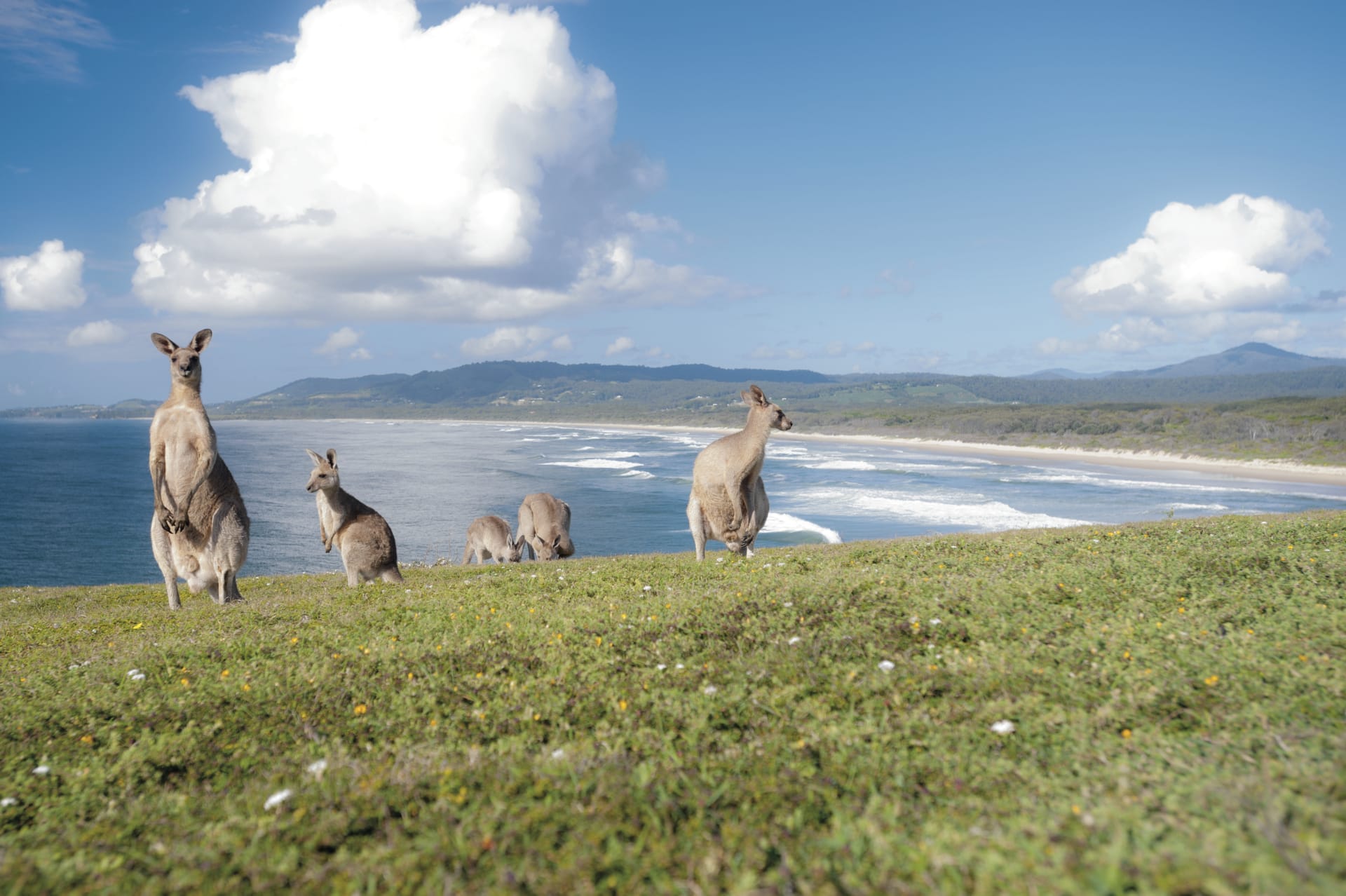 AUS_NSW_004_20141017_IvB