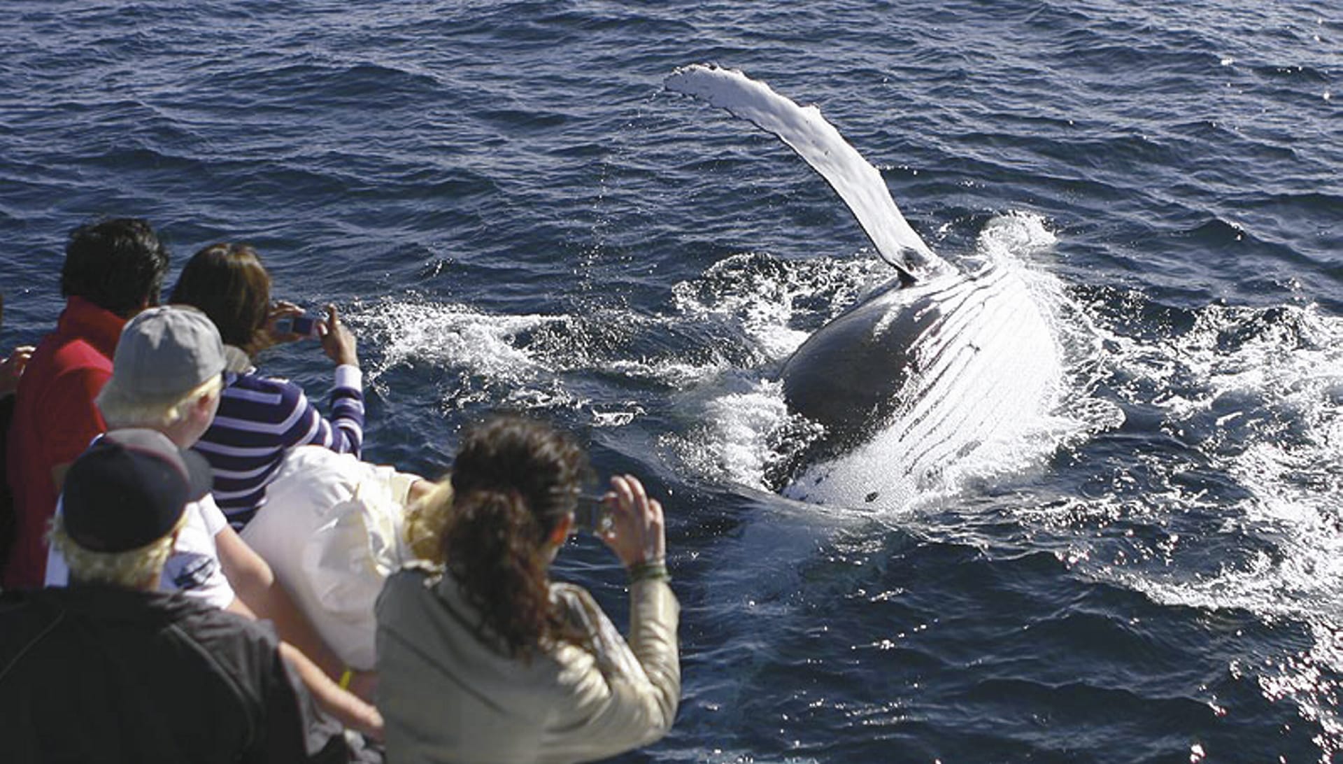 AUS_NSW_005_20090914_IVB