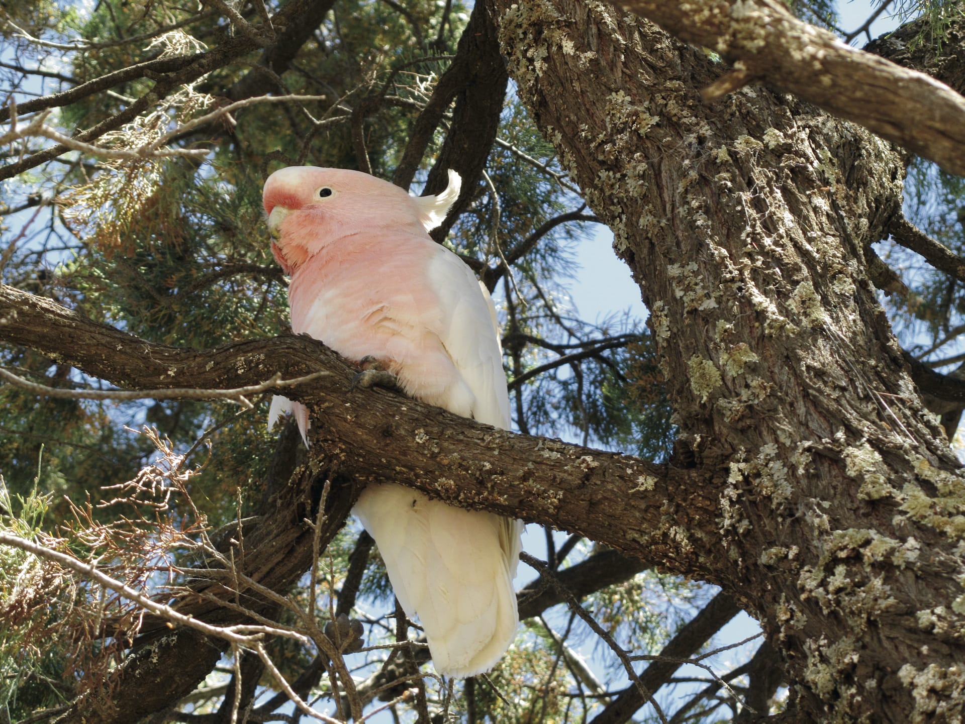 AUS_NSW_026_20120213_IvB