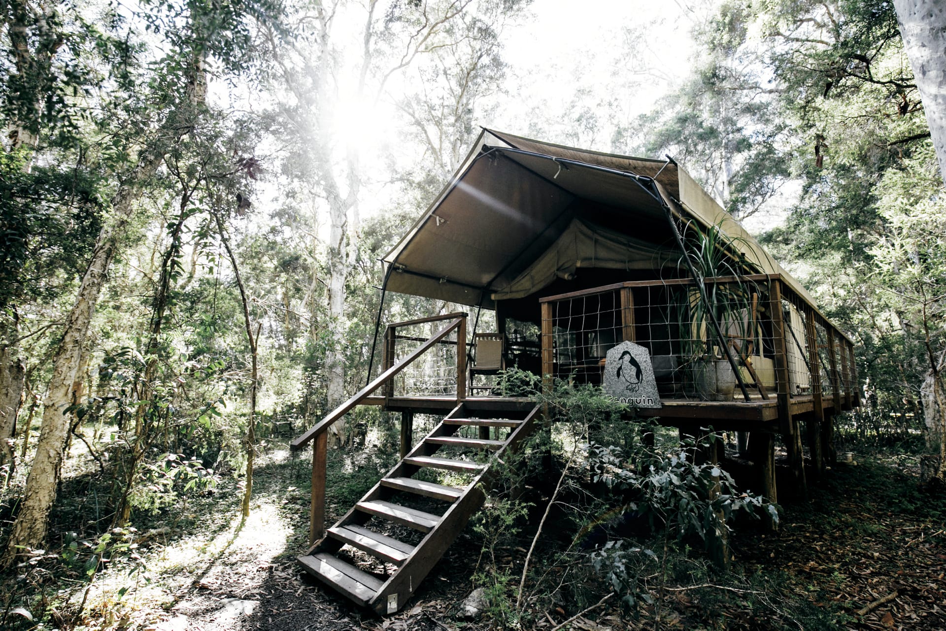 AUS_NSW_071_20170804_BR