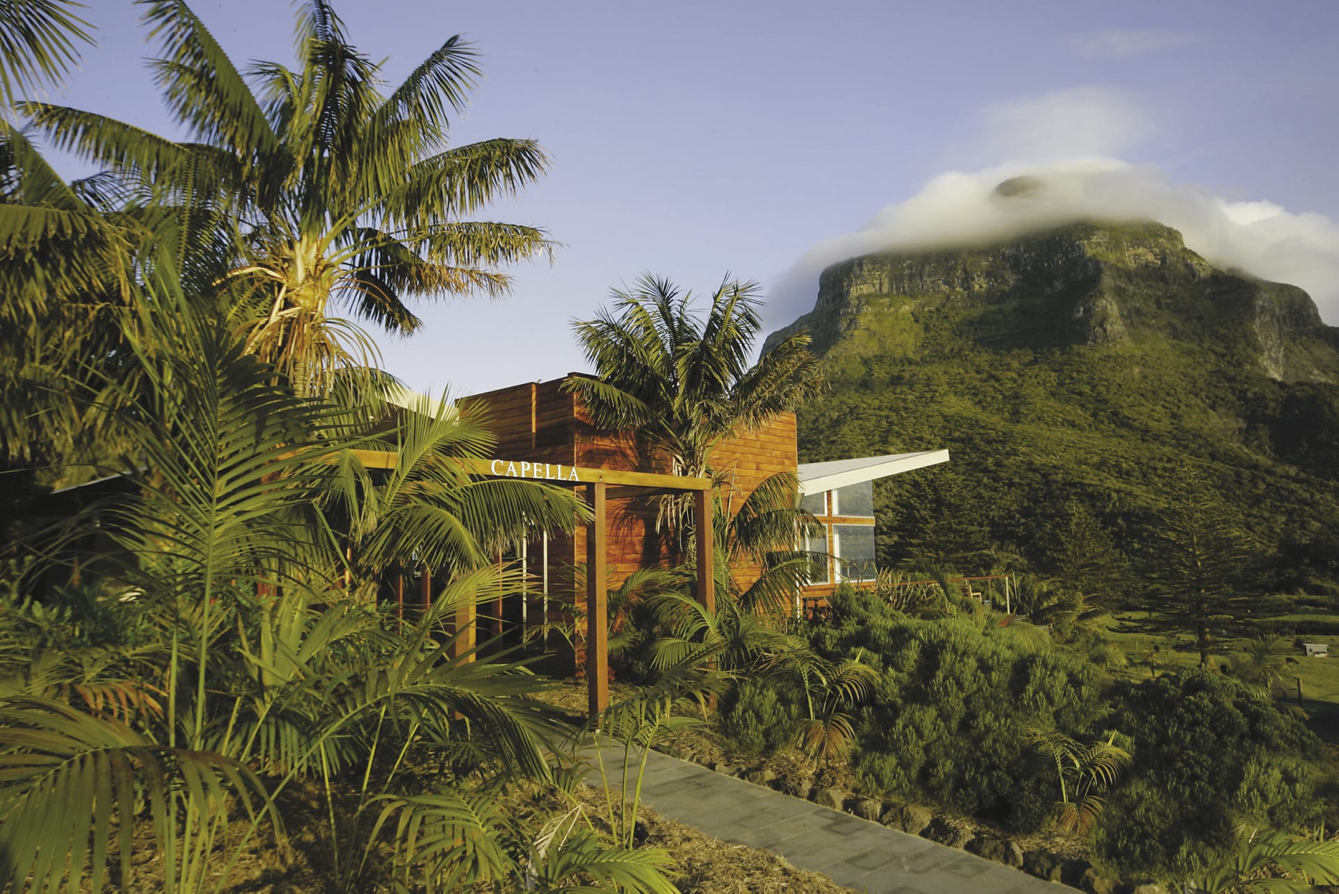 AUS_NSW_101_20090514_SS