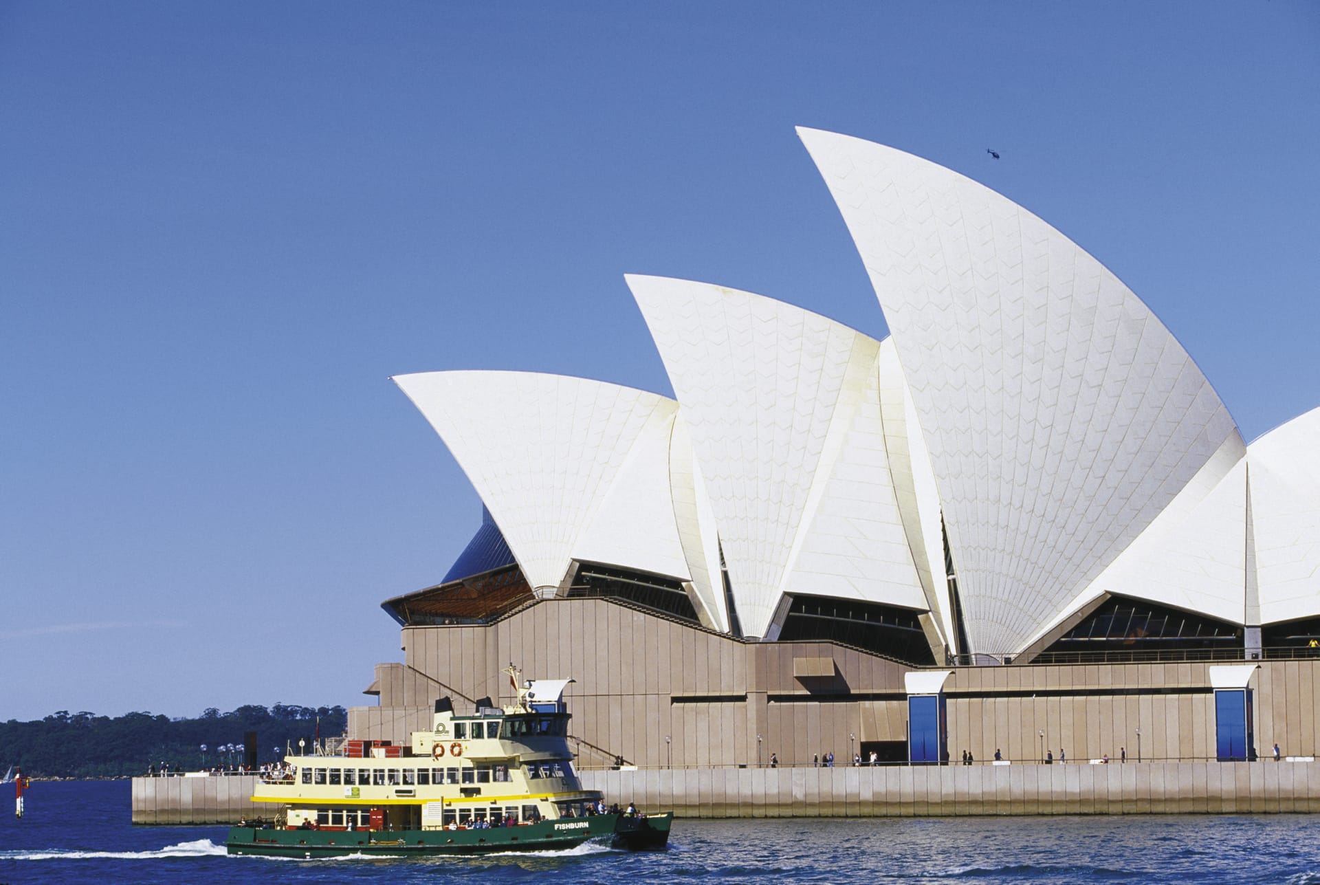 AUS_NSW_115_20080829_IVB