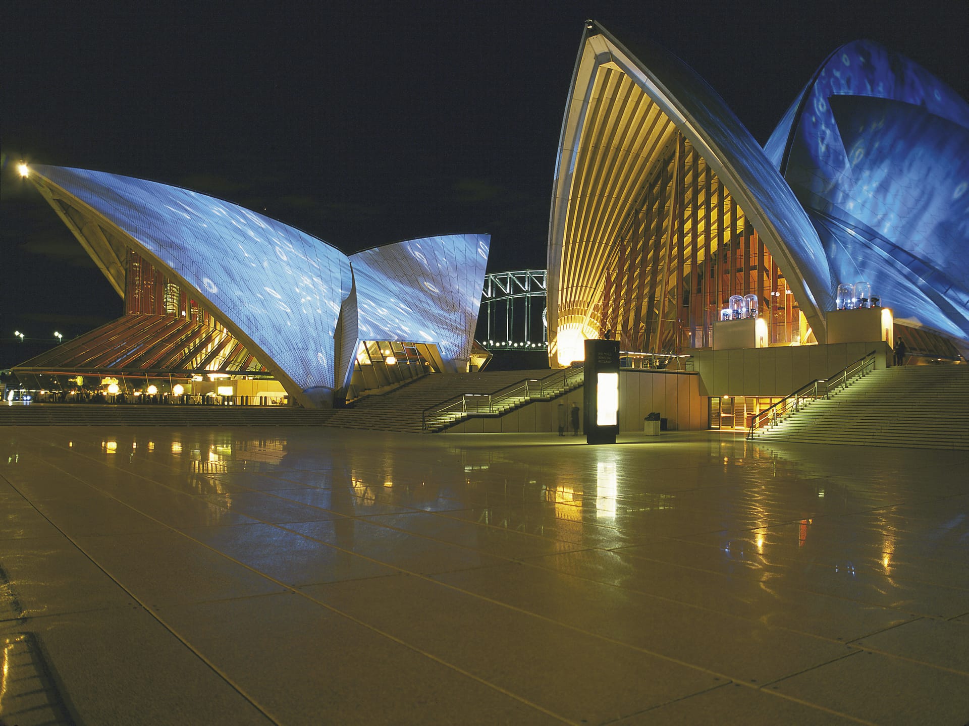 AUS_NSW_116_20080829_IVB