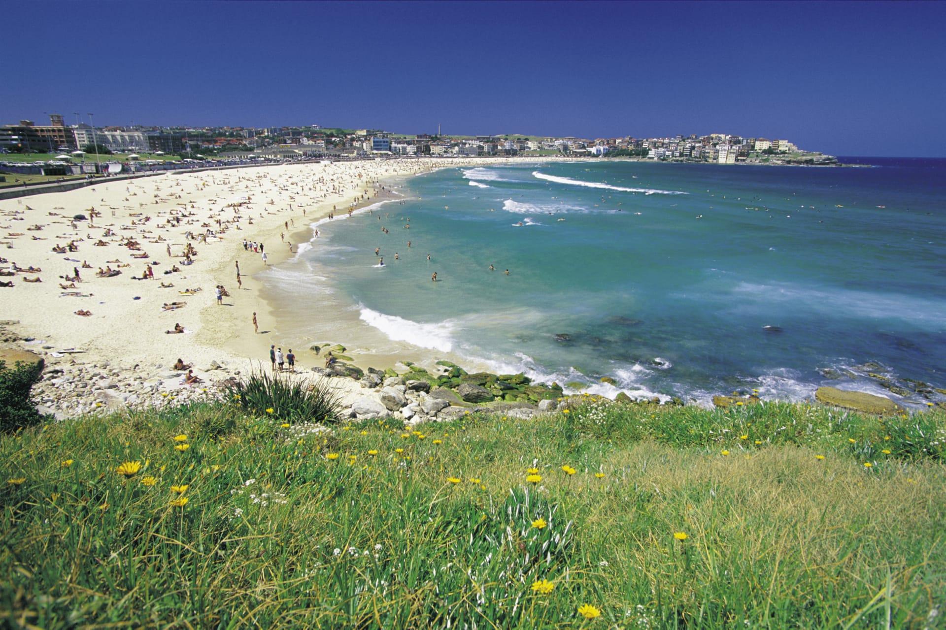 AUS_NSW_138_20090515_SS