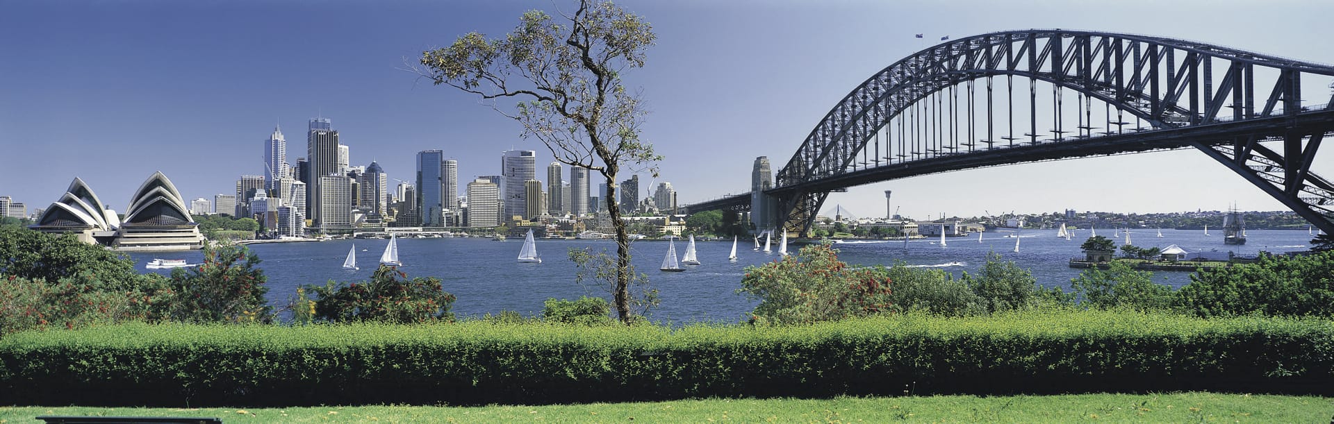 AUS_NSW_194_20120417_ss