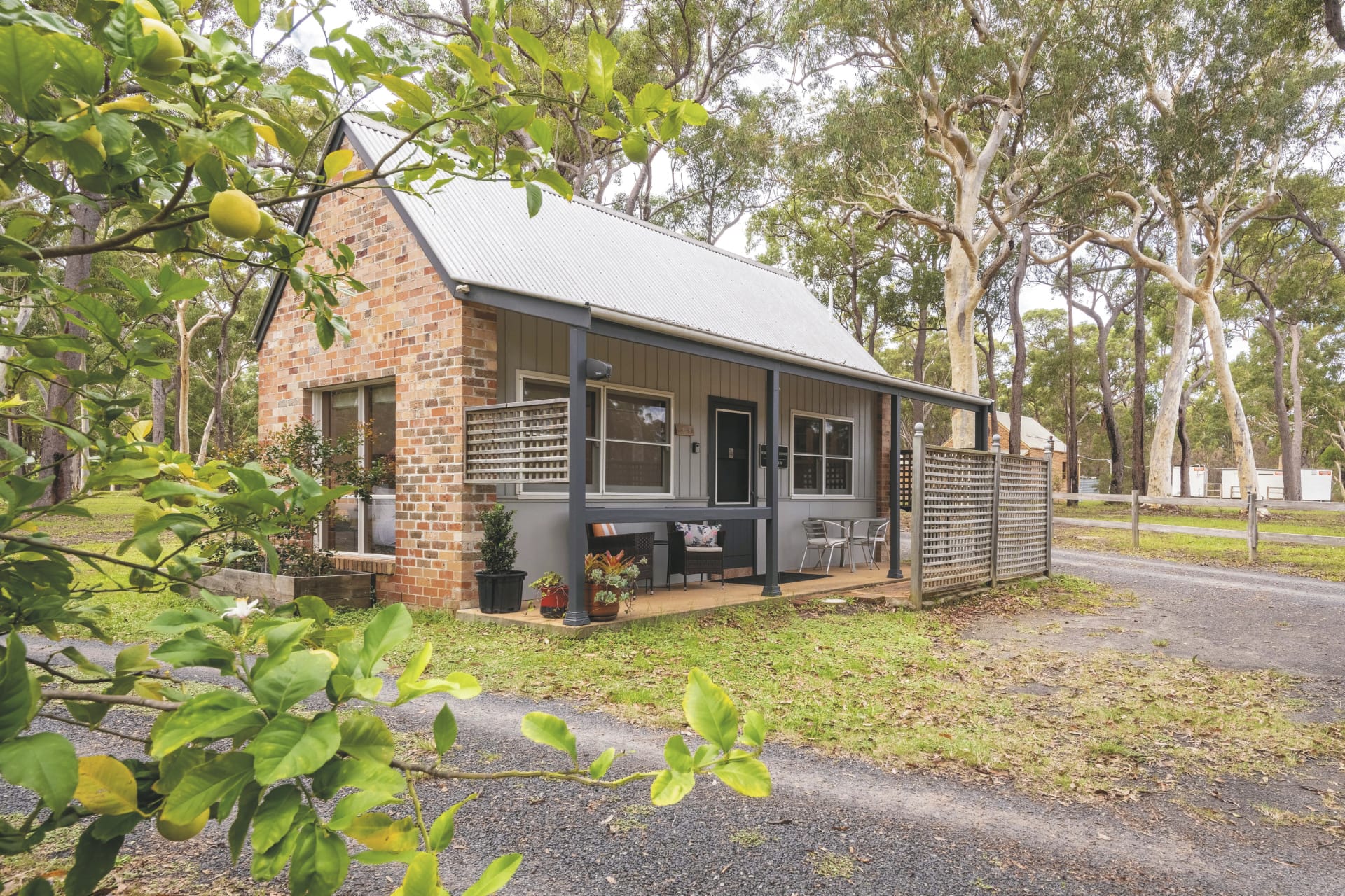 AUS_NSW_20220726_BR_27