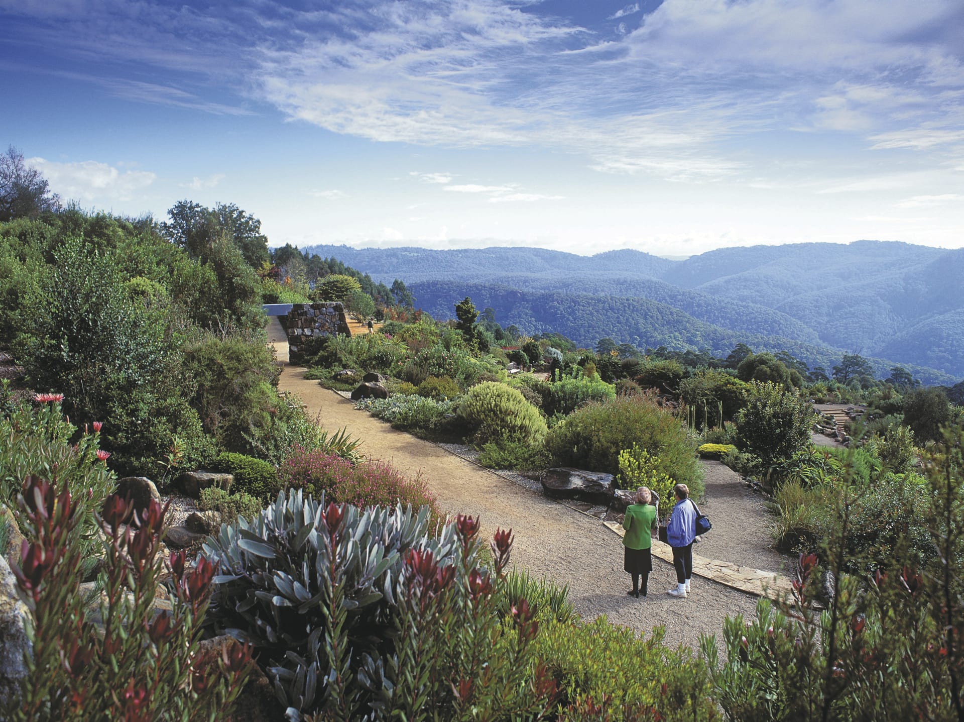 AUS_NSW_20220831_IVB_17