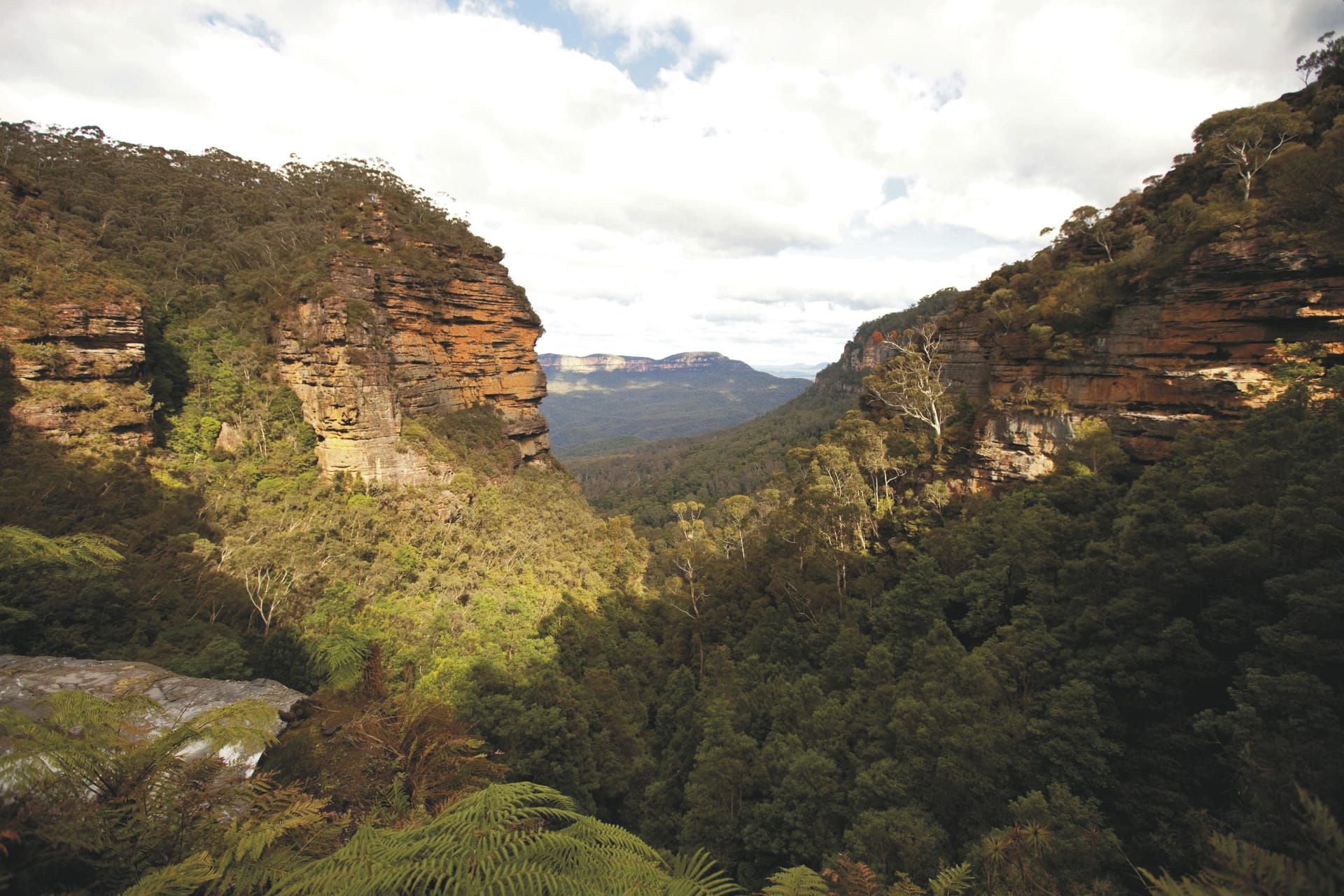 AUS_NSW_20220831_IVB_9