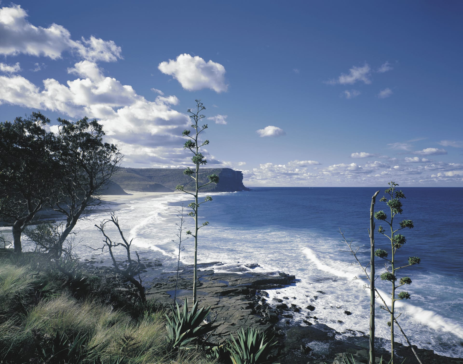 AUS_NSW_219_20120418_ss