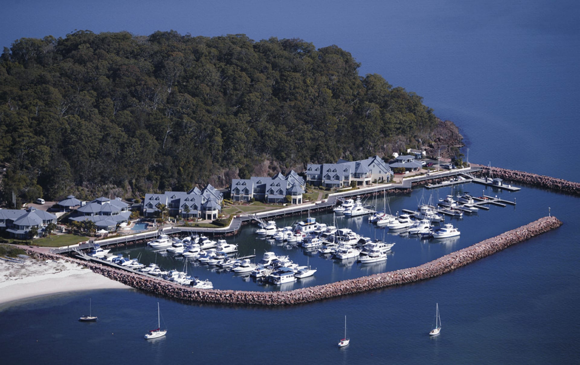 AUS_NSW_315_20100916_BR